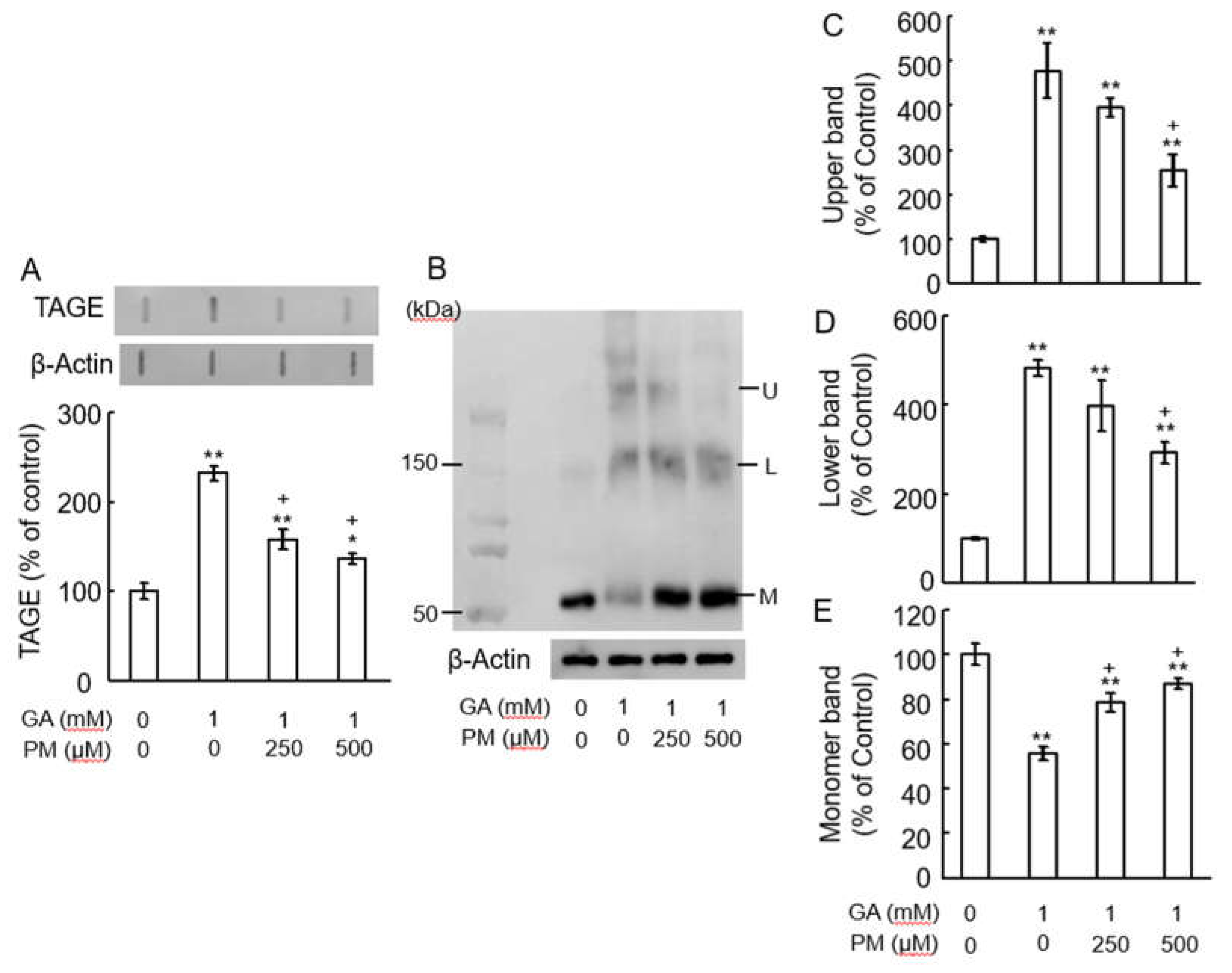 Preprints 105689 g003