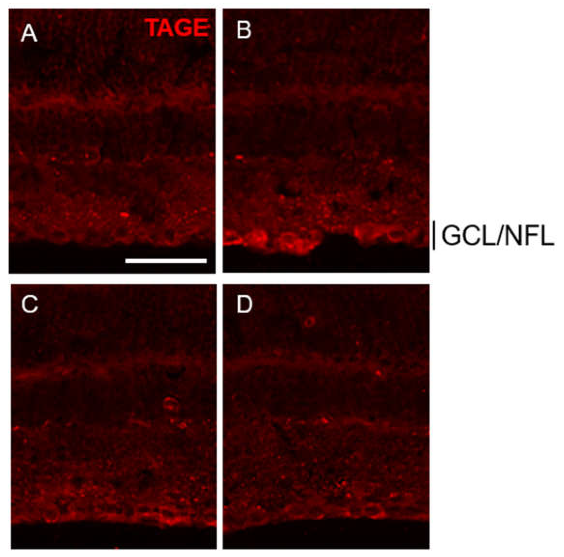 Preprints 105689 g004