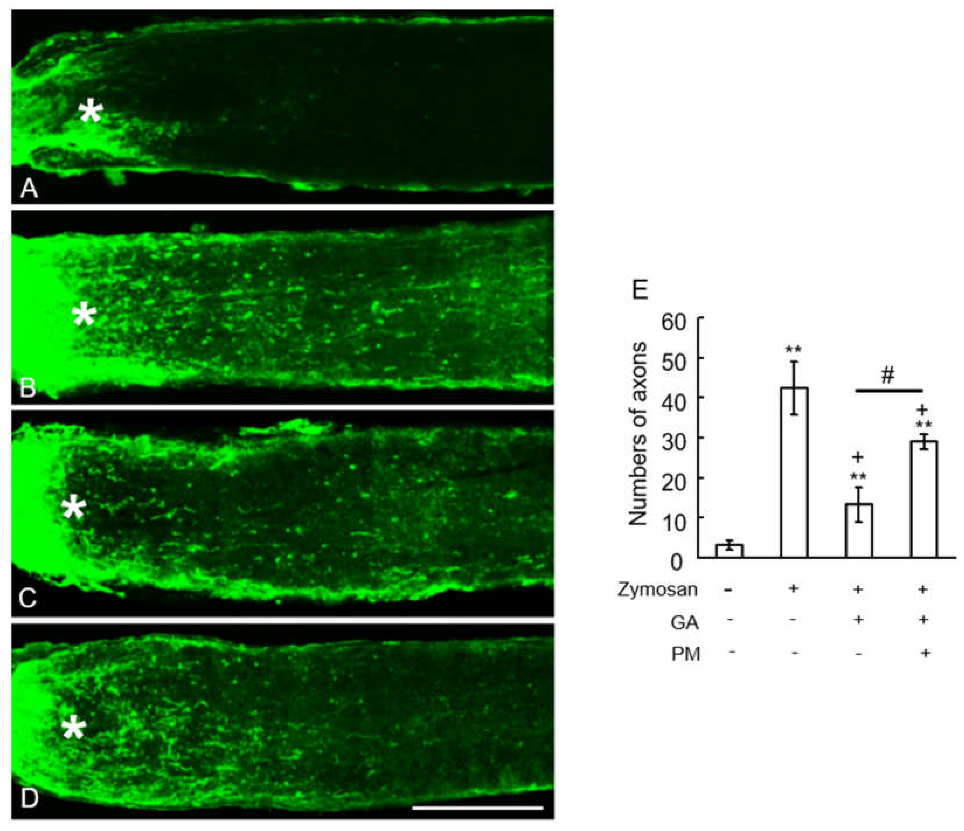 Preprints 105689 g005