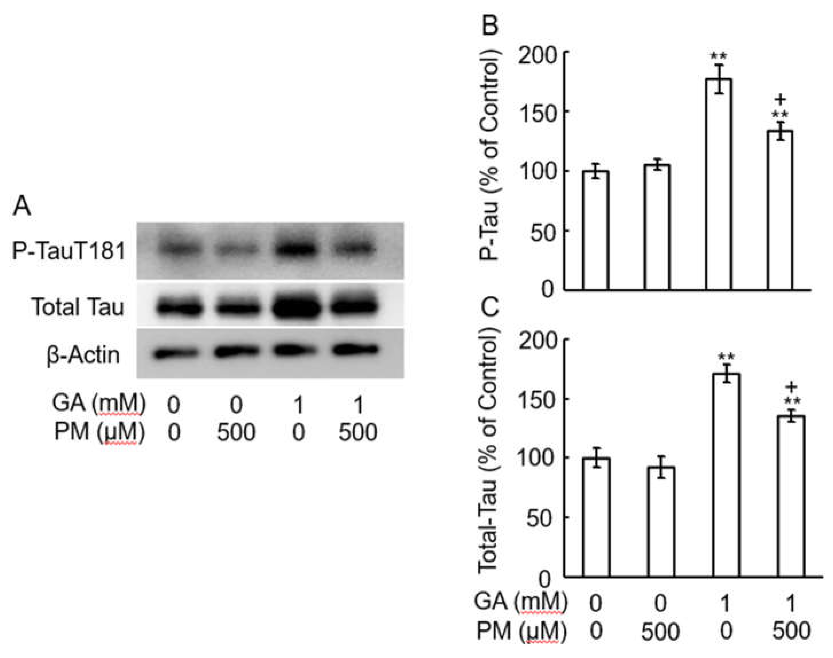 Preprints 105689 g006