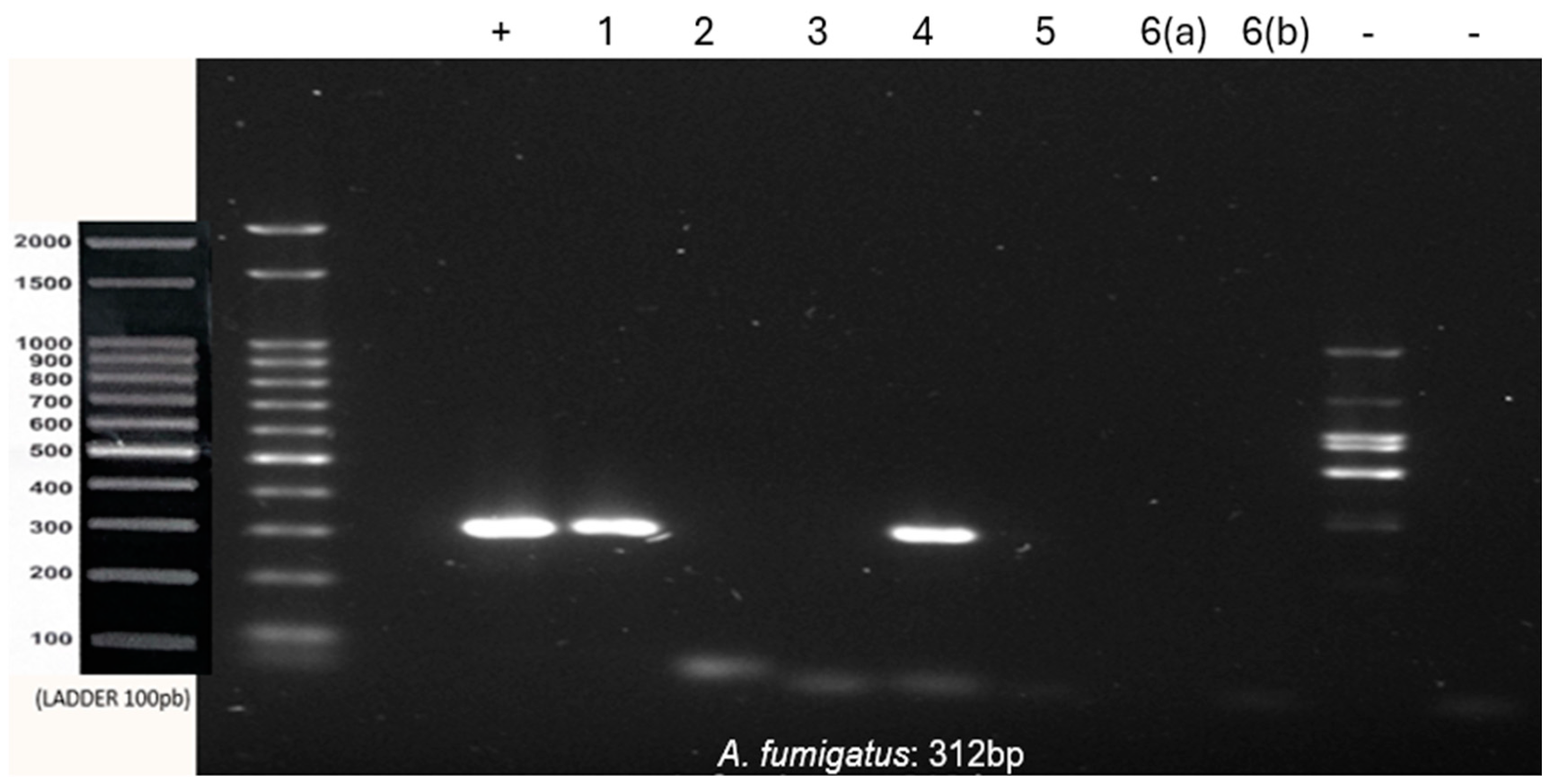 Preprints 115320 g002