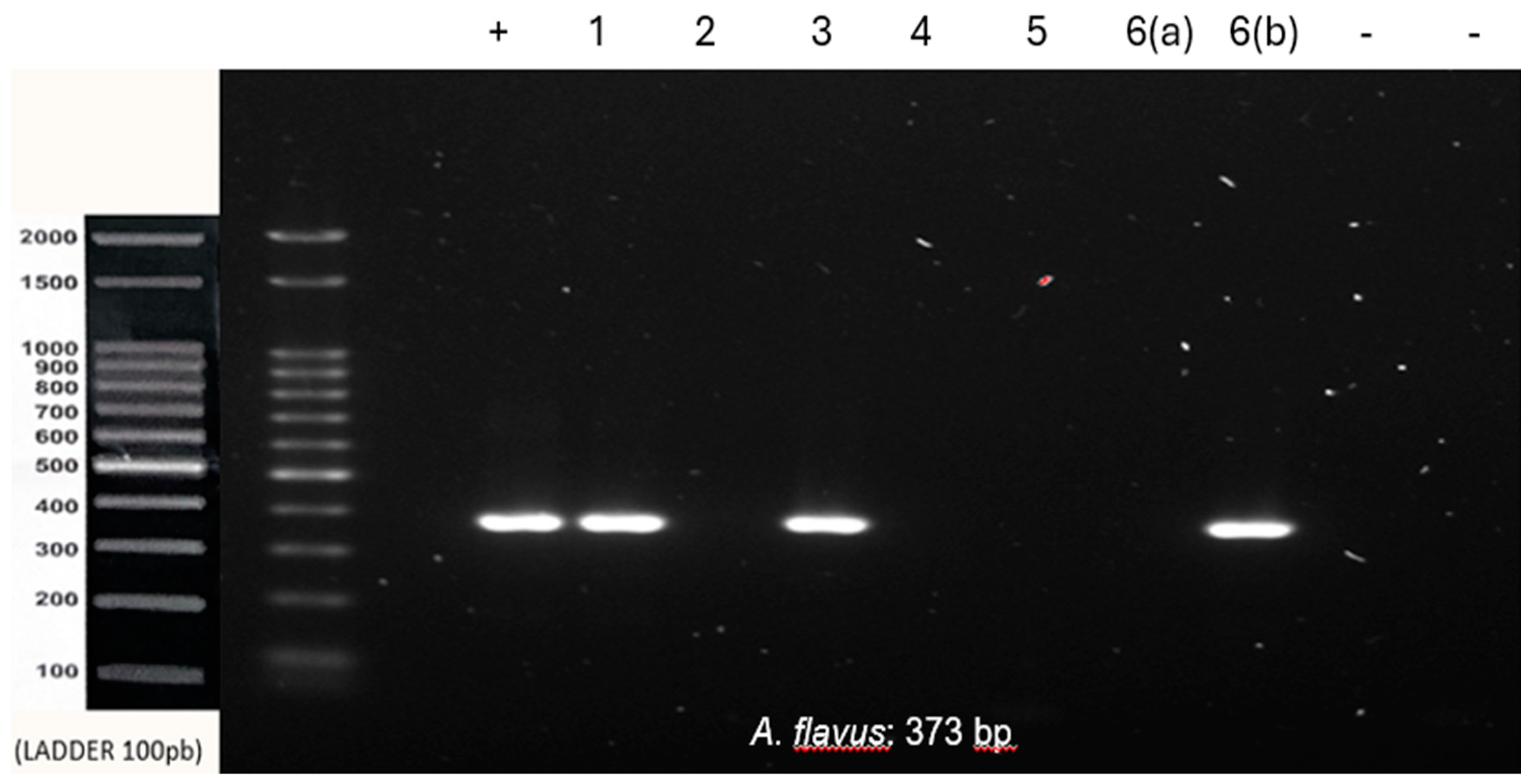 Preprints 115320 g003