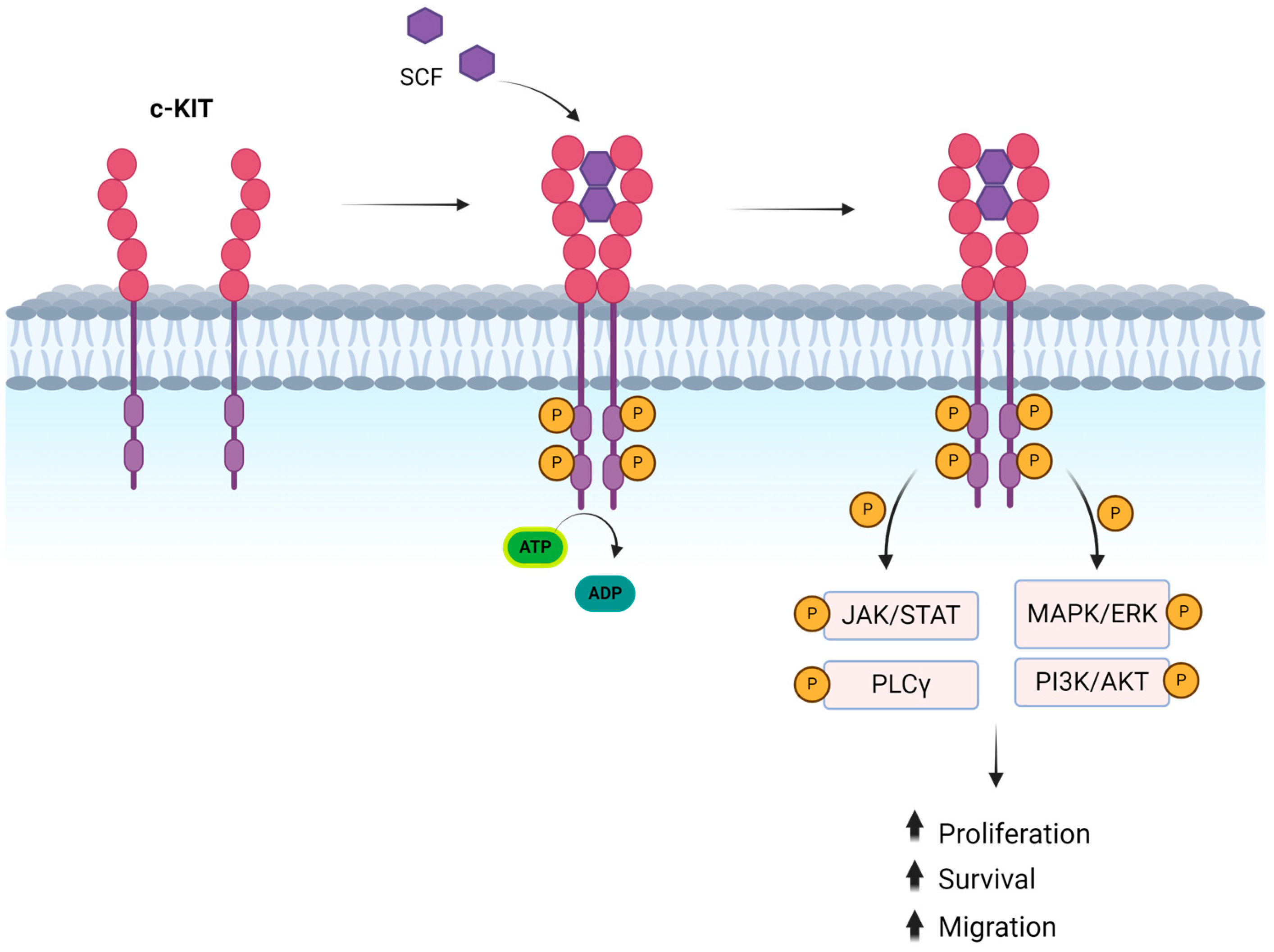 Preprints 116692 g001