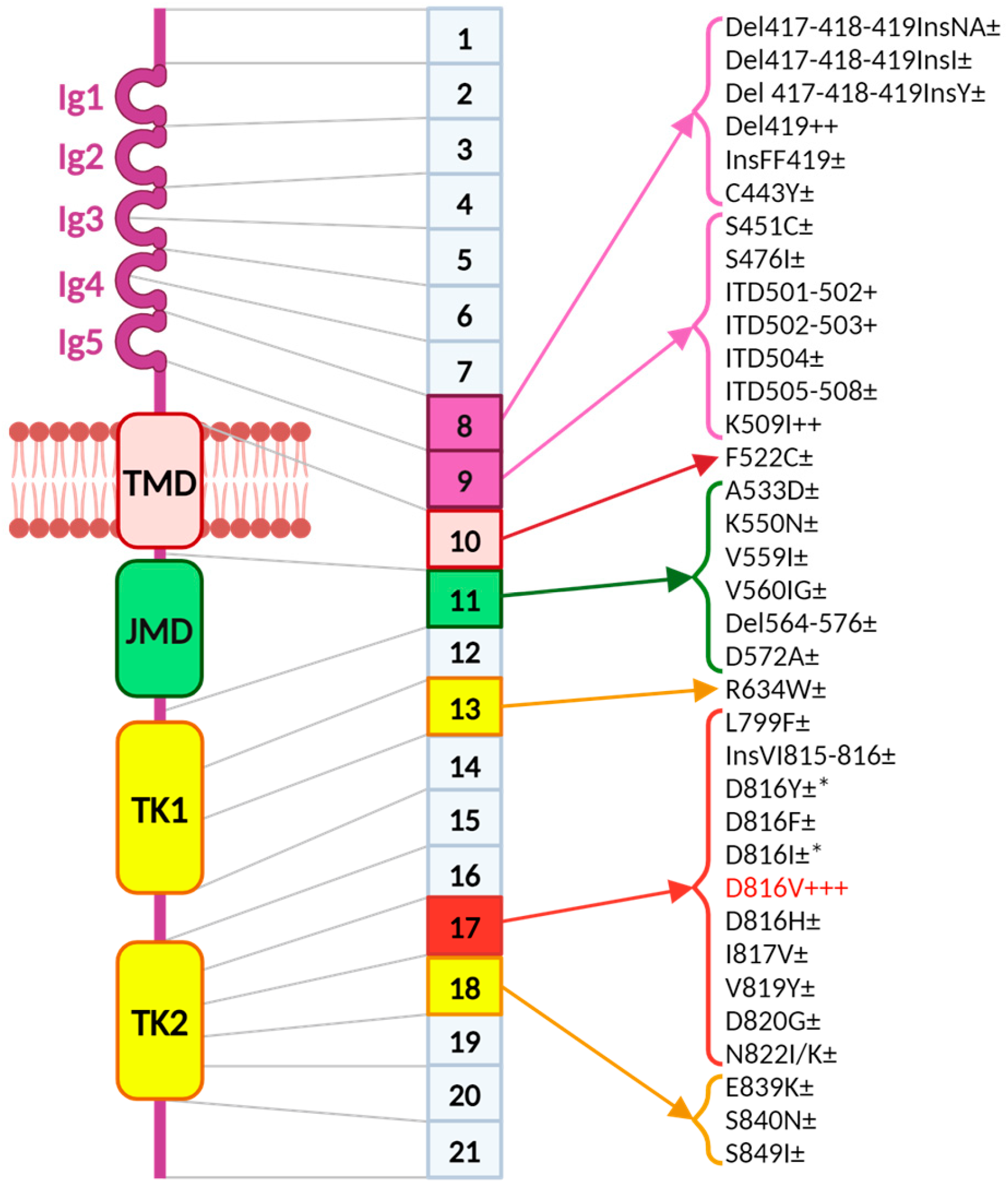 Preprints 116692 g002