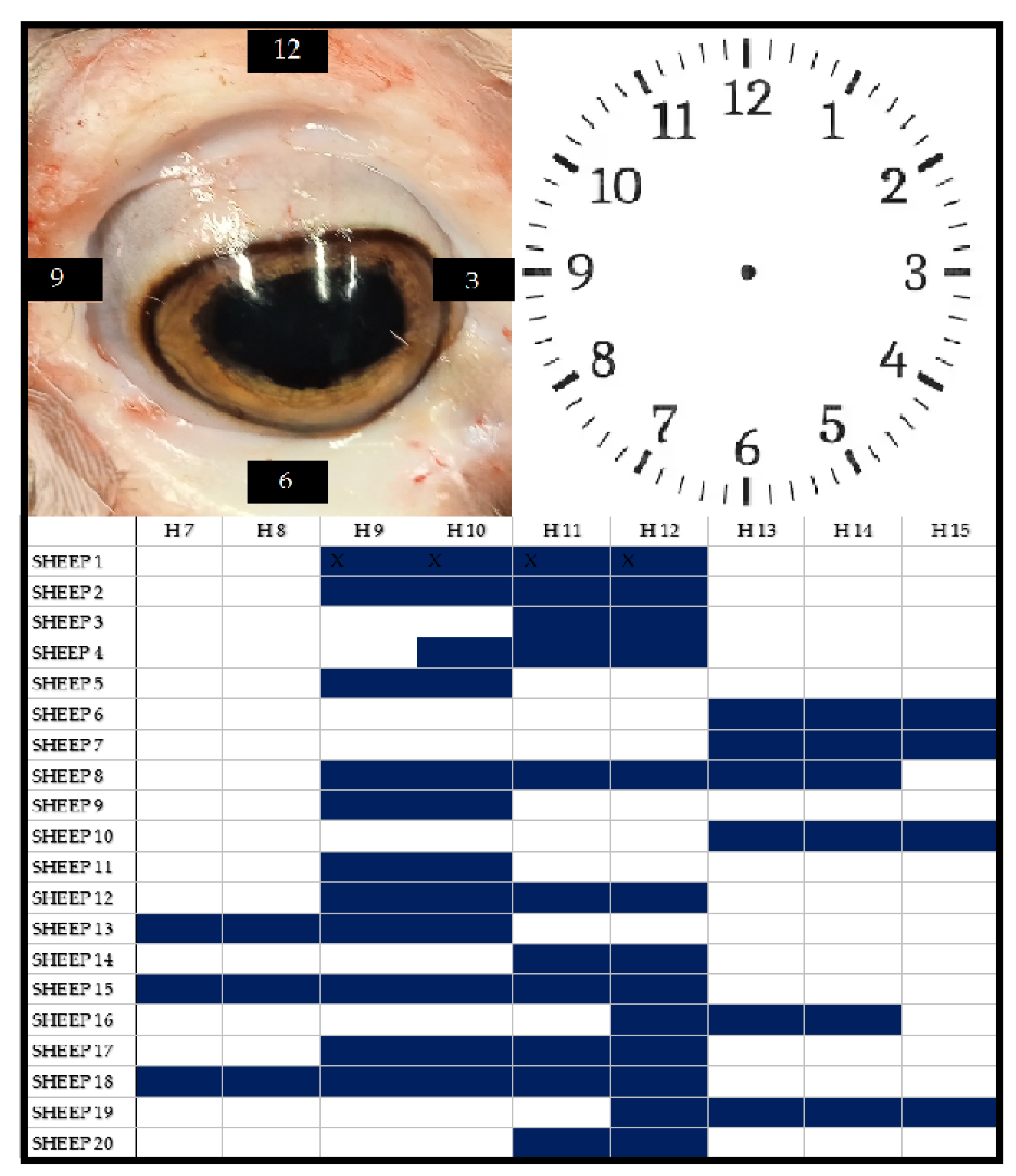 Preprints 115157 g003