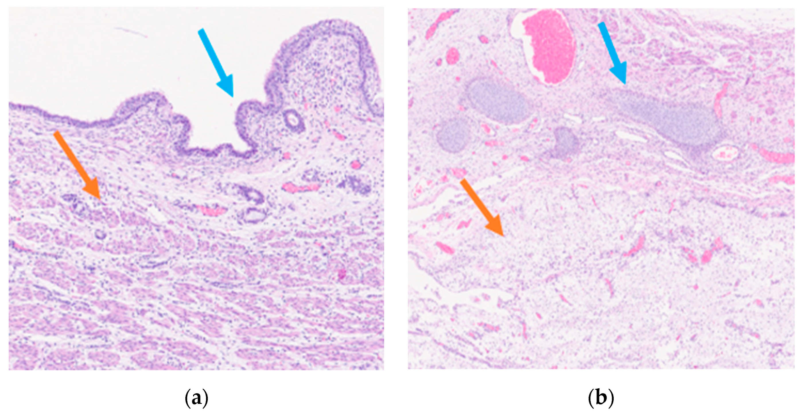 Preprints 84218 g003