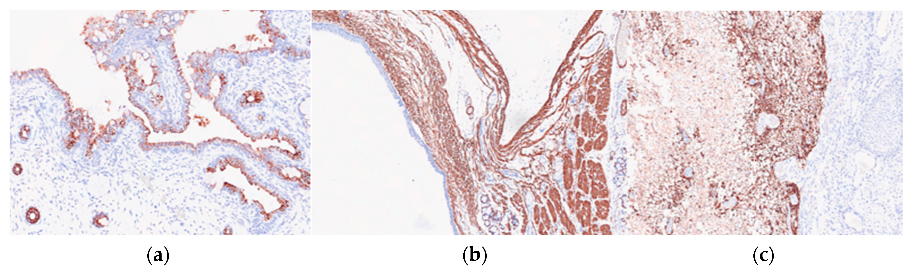 Preprints 84218 g004