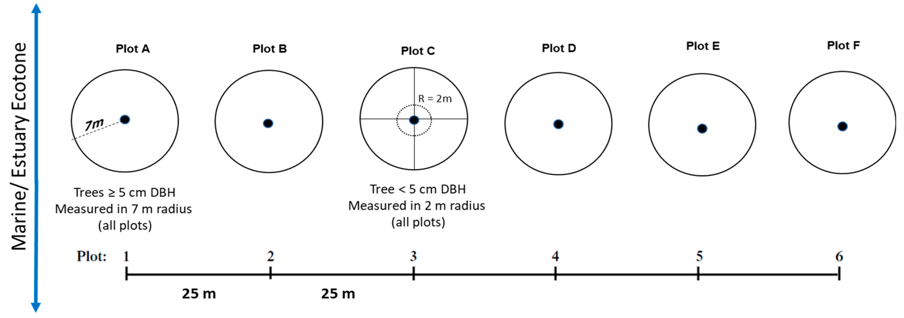 Preprints 89235 g006