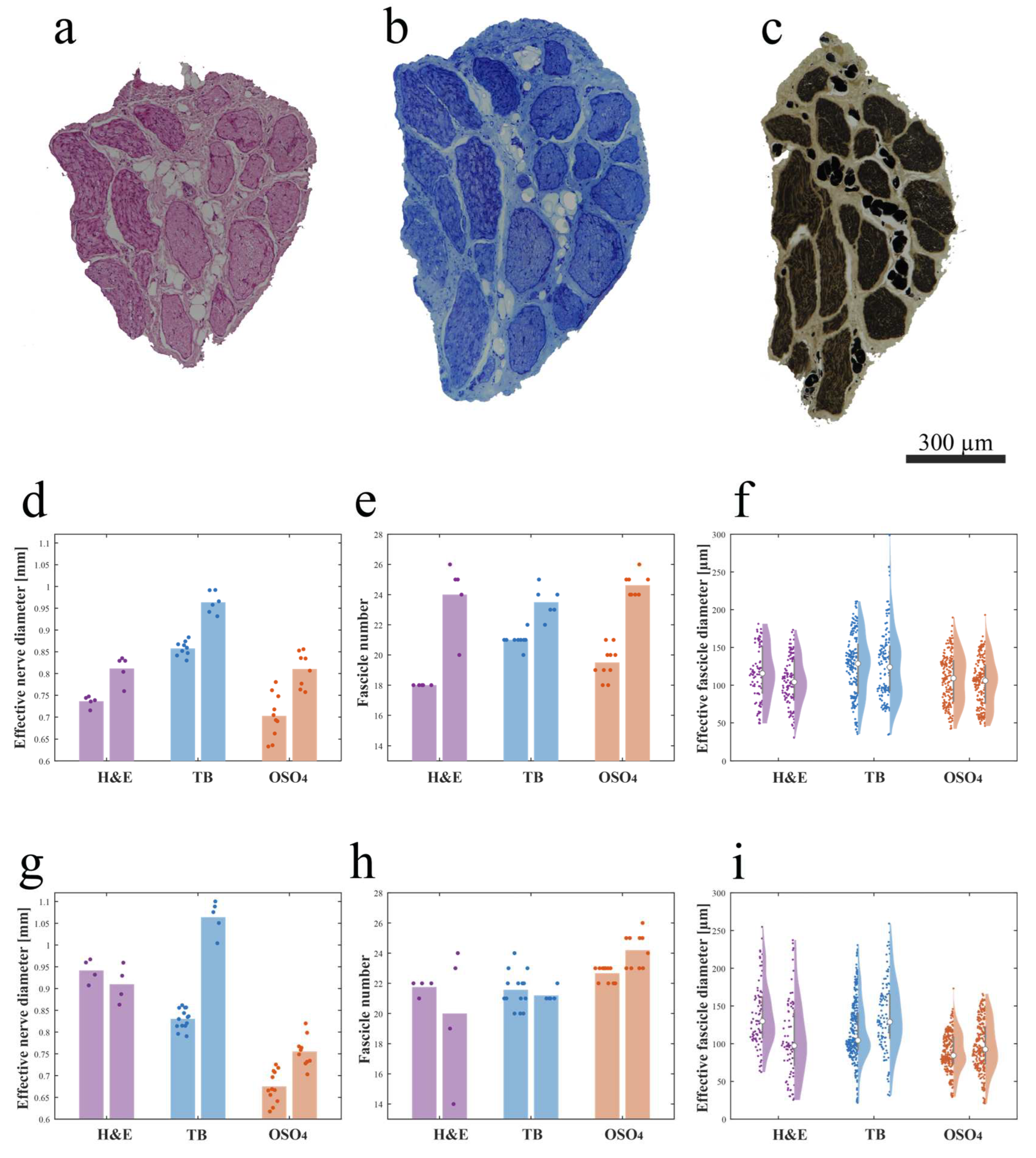 Preprints 94250 g004