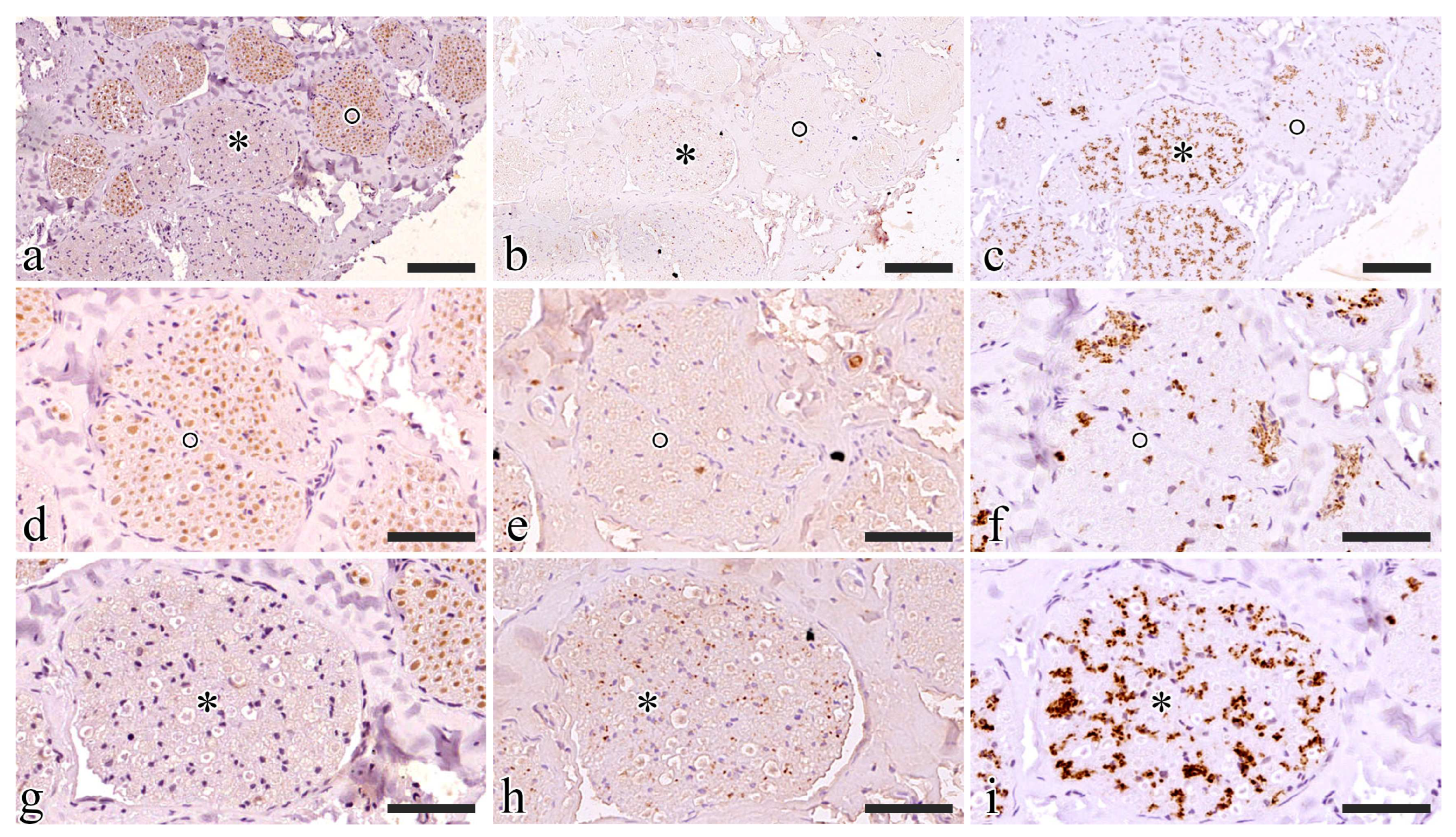 Preprints 94250 g005