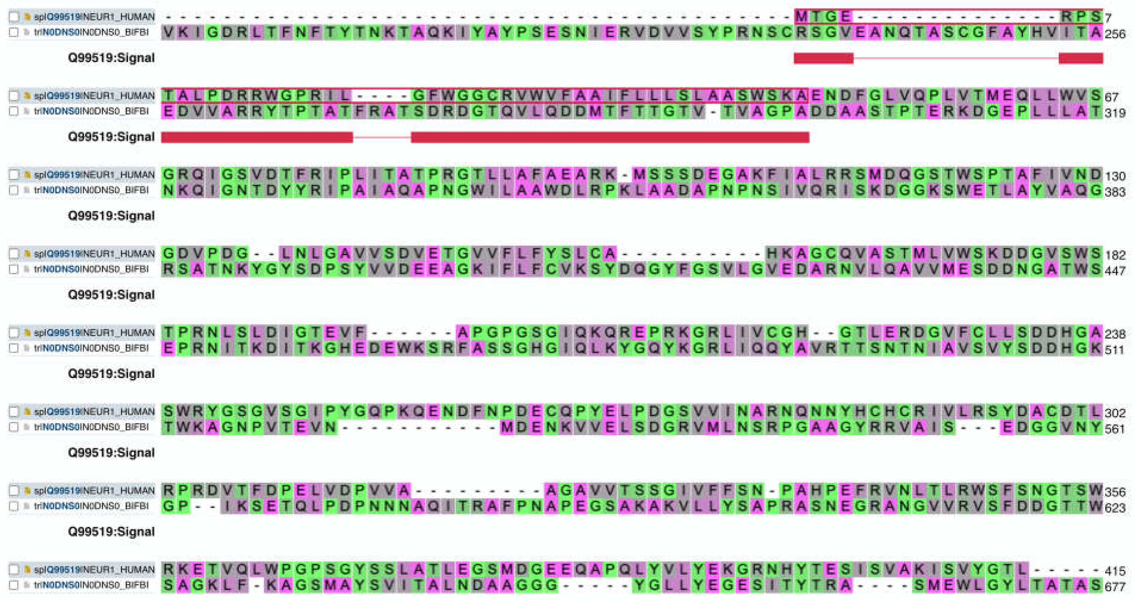 Preprints 112082 g001