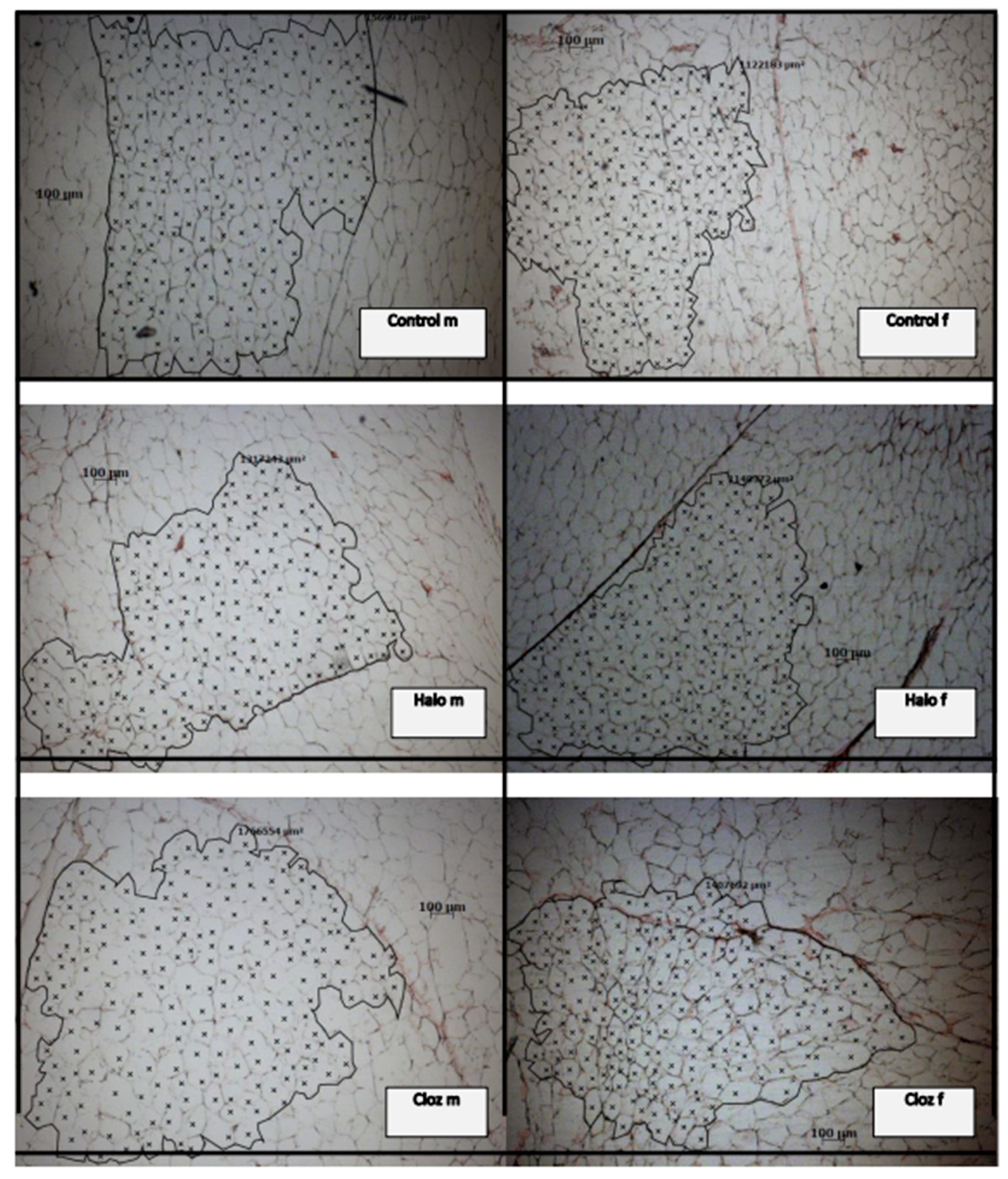 Preprints 96761 g002