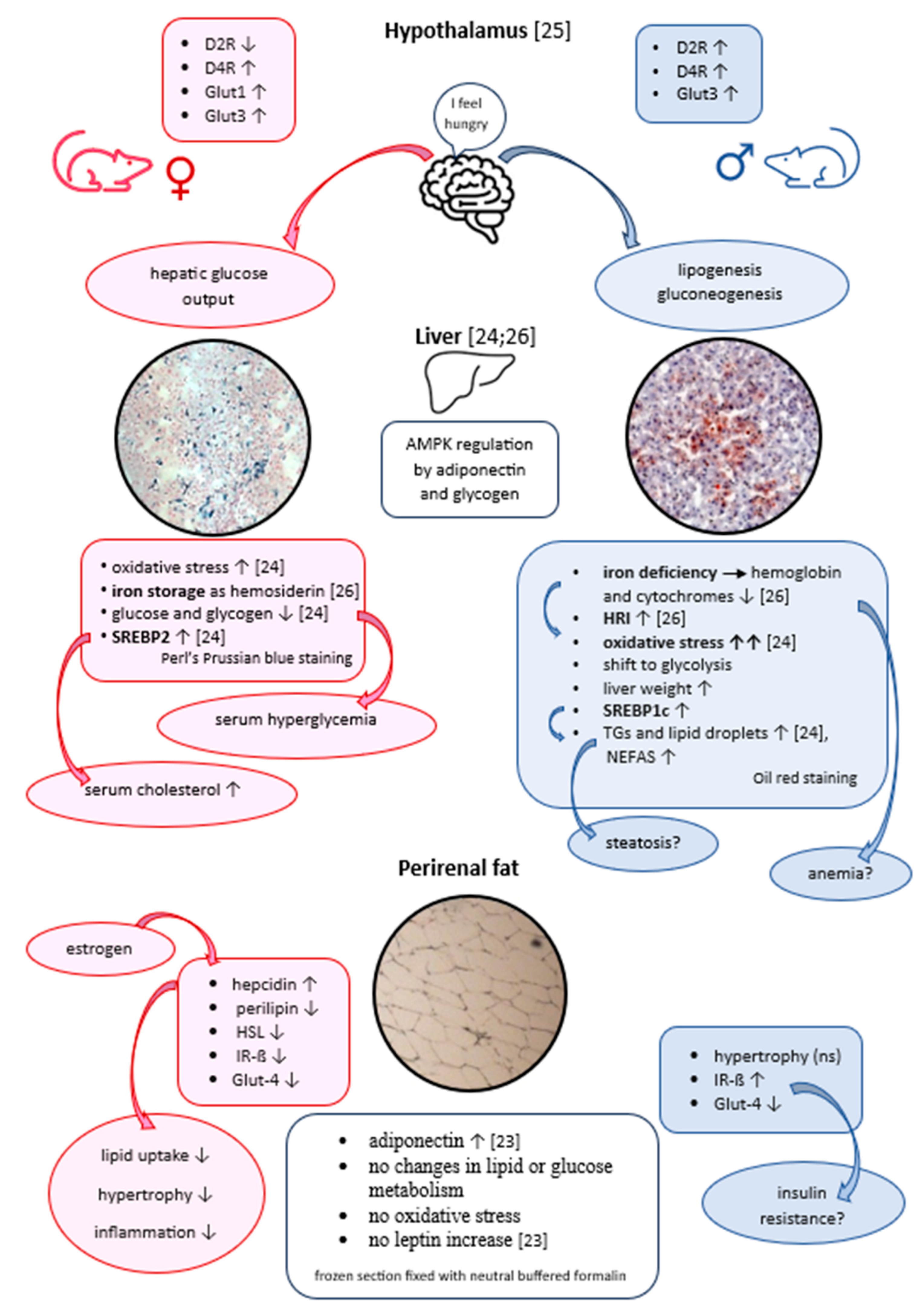 Preprints 96761 g004