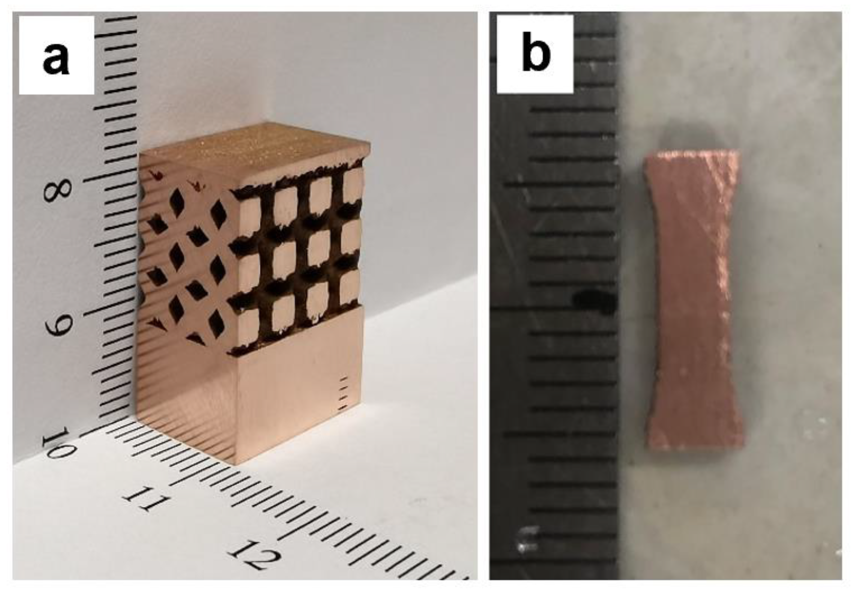 Preprints 84557 g003