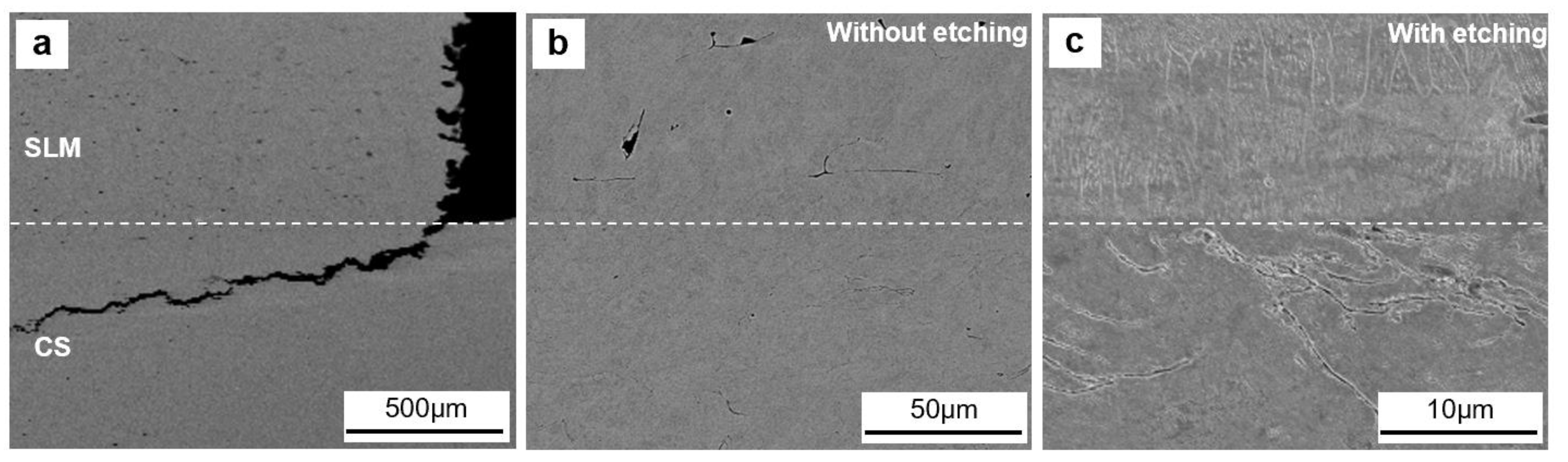 Preprints 84557 g004