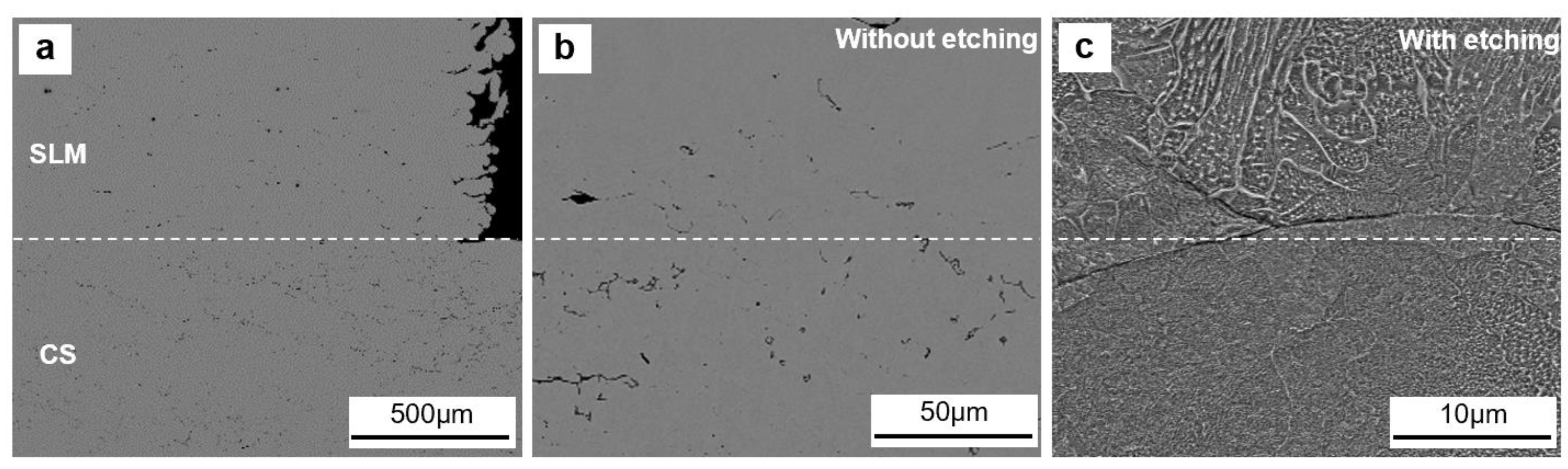 Preprints 84557 g006