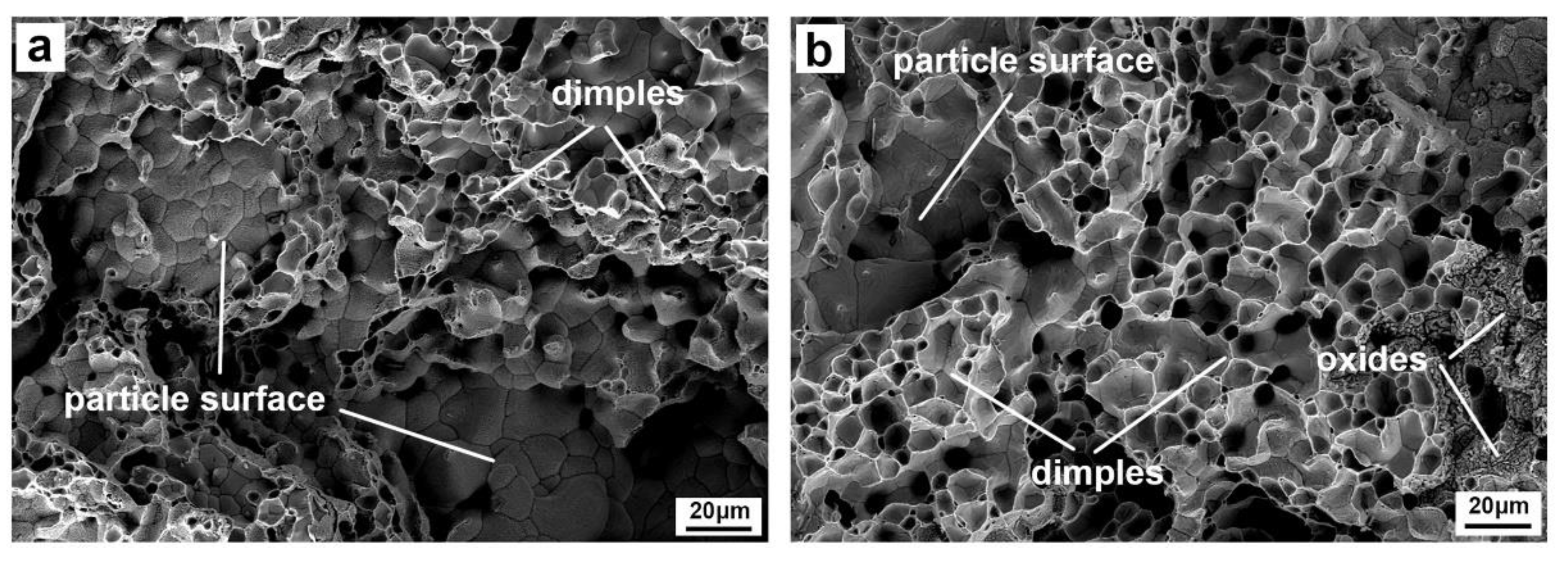 Preprints 84557 g010