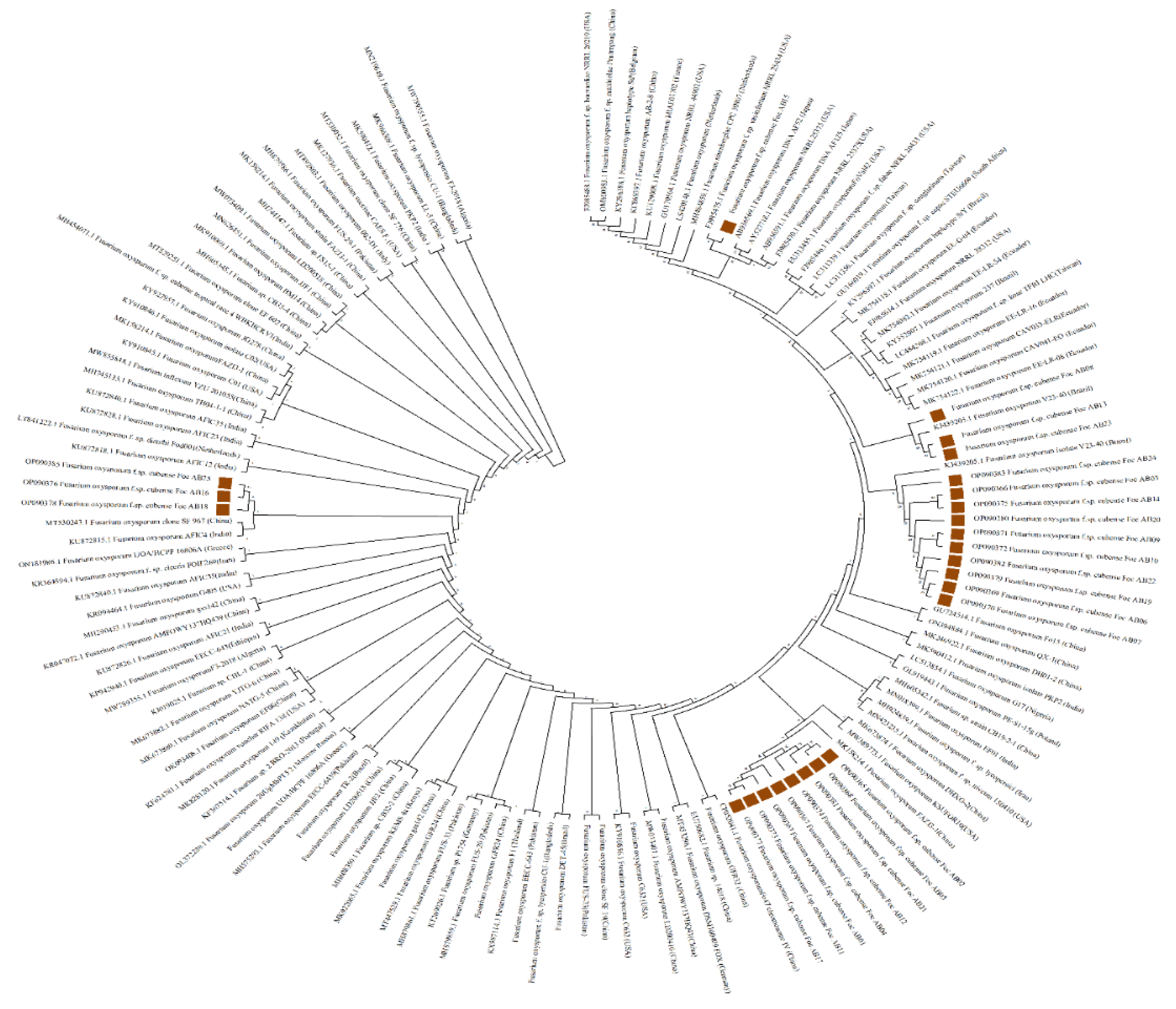 Preprints 118295 g004