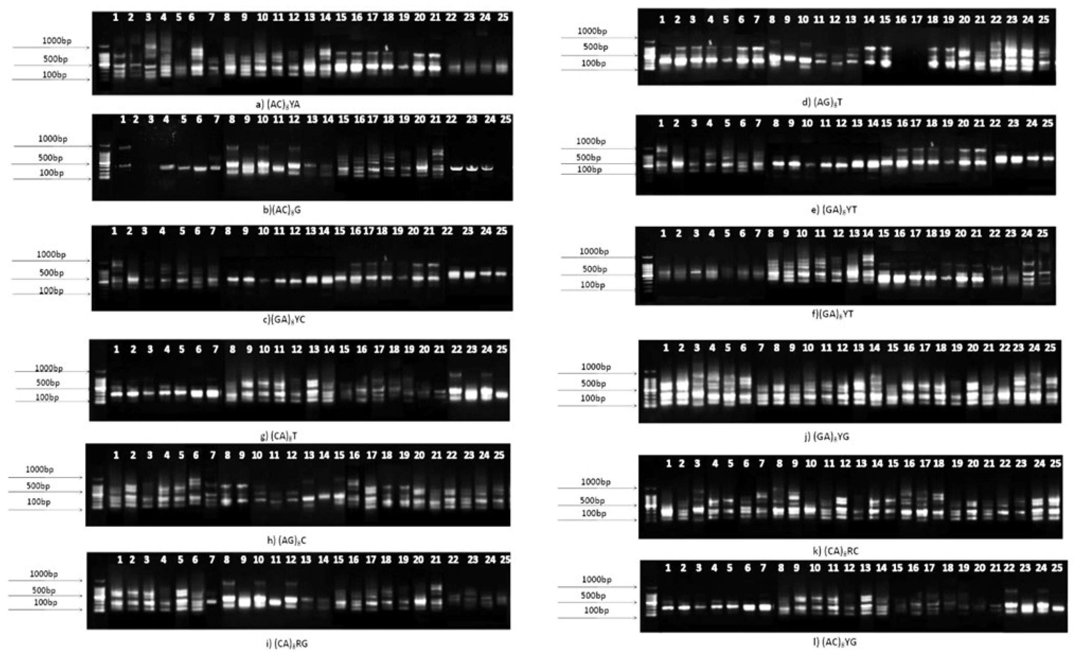 Preprints 118295 g006