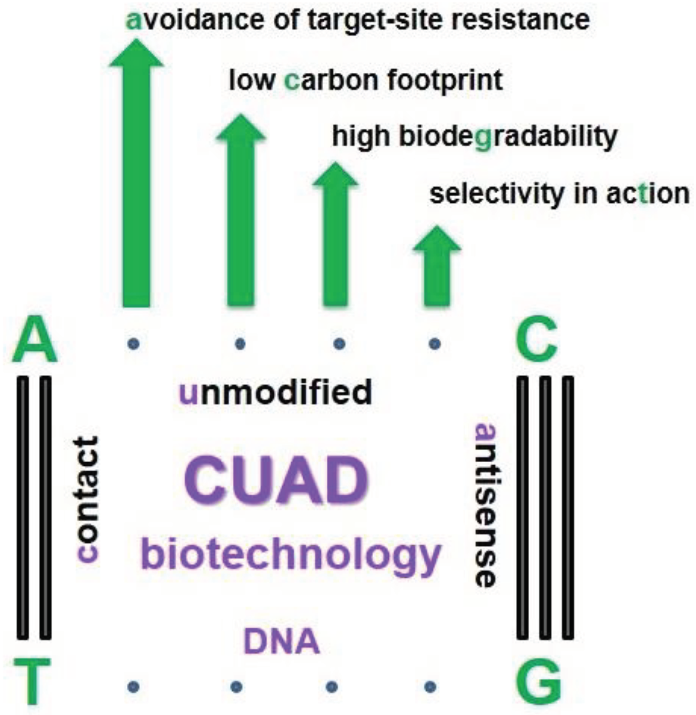 Preprints 102153 g001