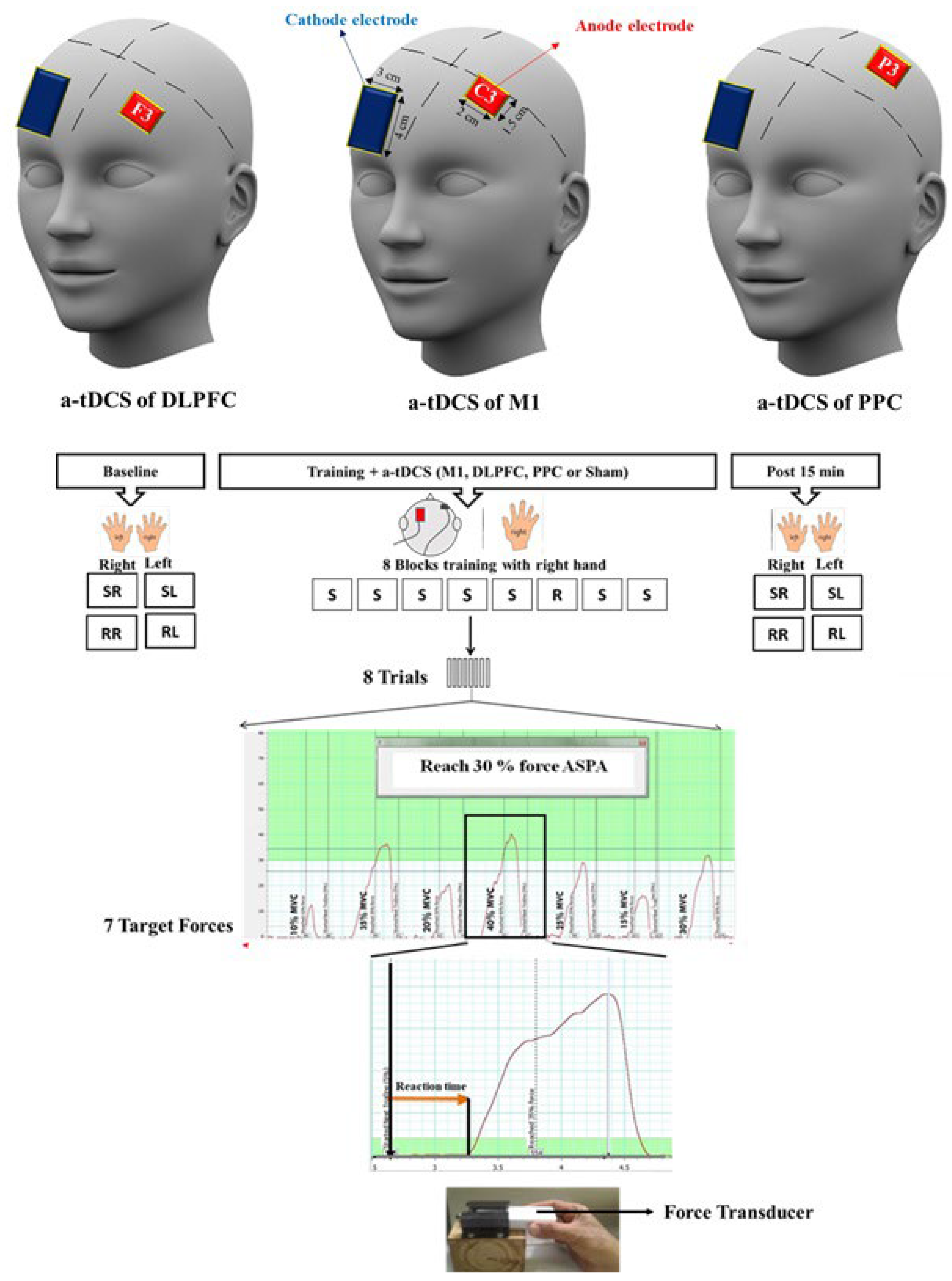 Preprints 100732 g001