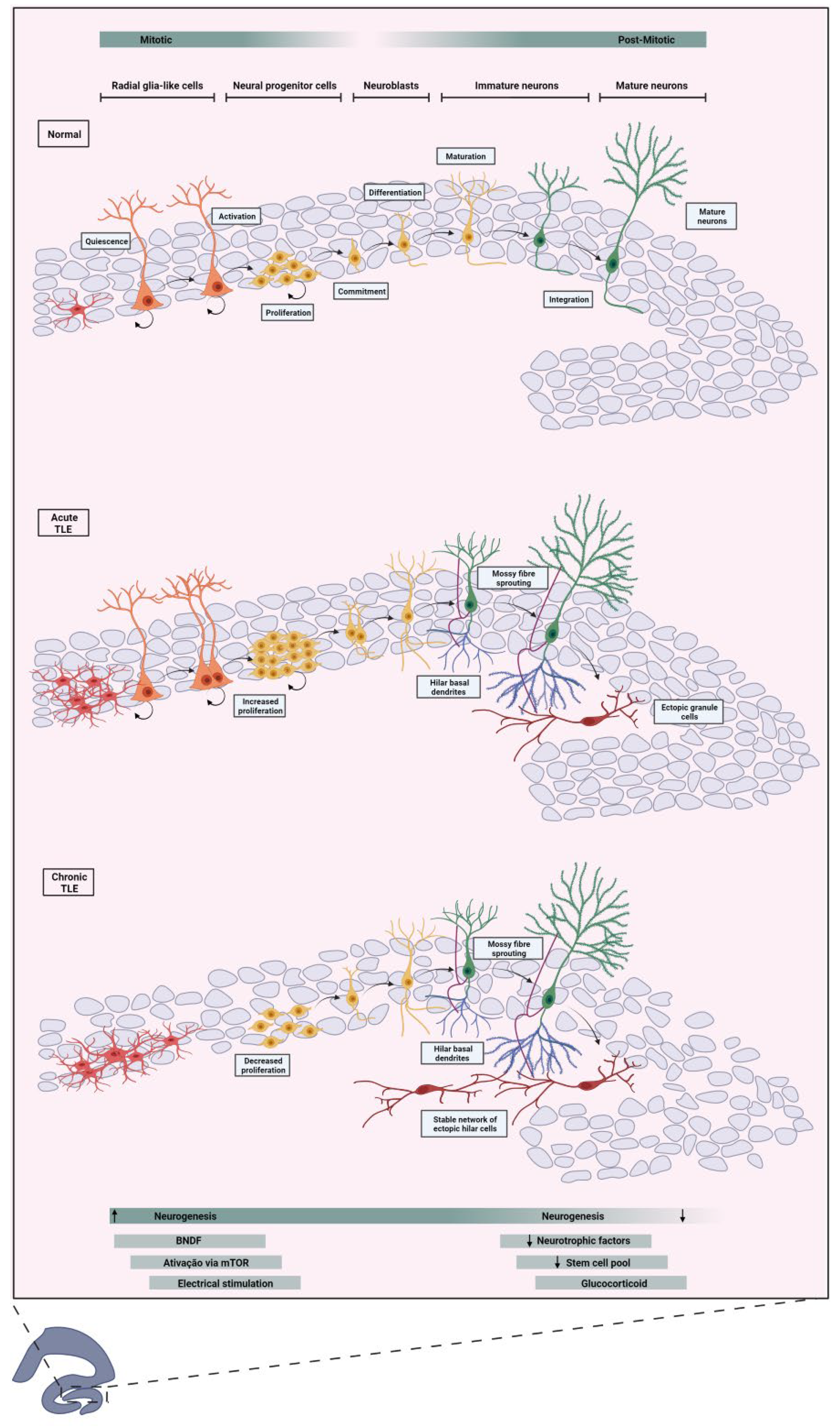 Preprints 137873 g002