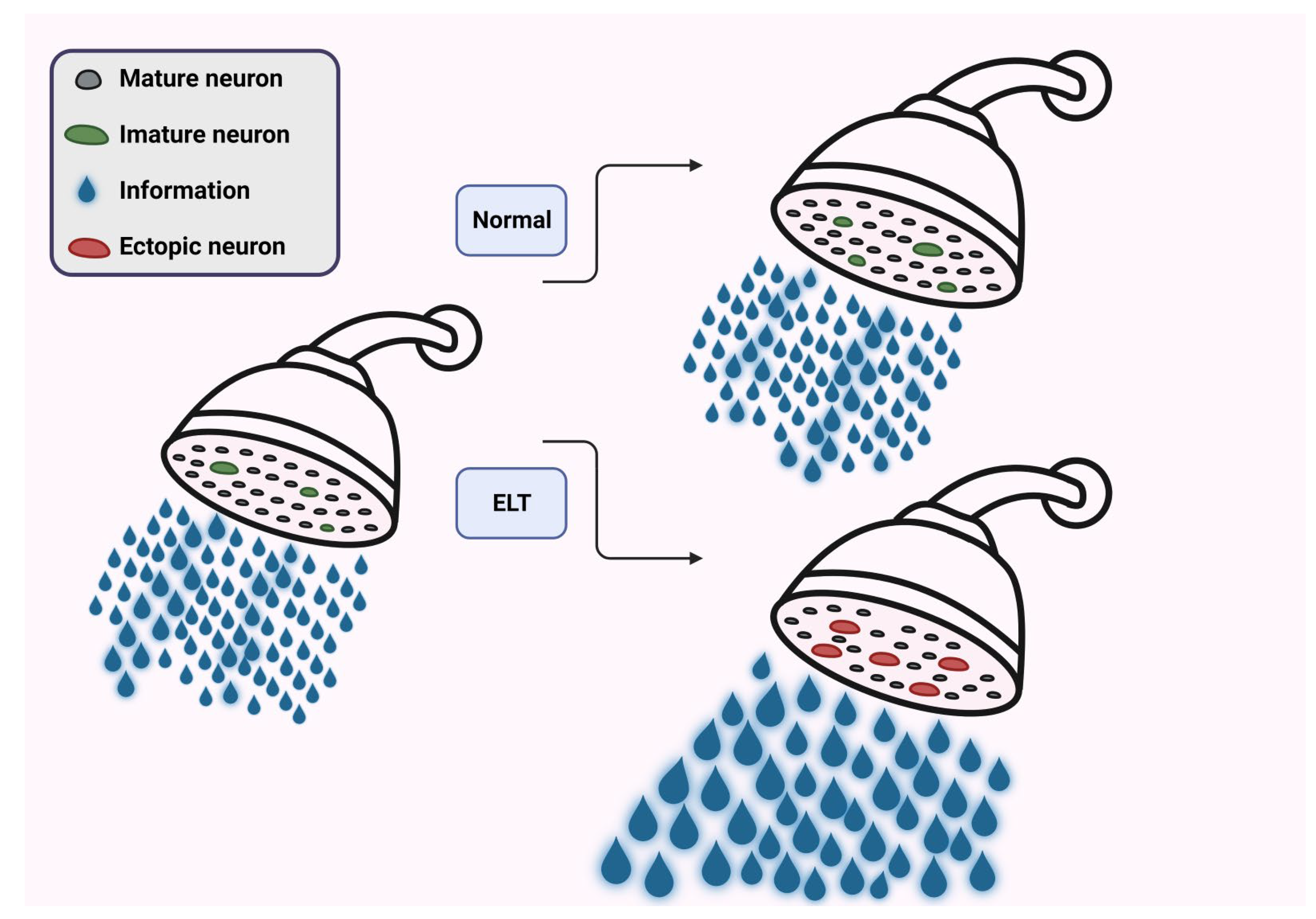 Preprints 137873 g005