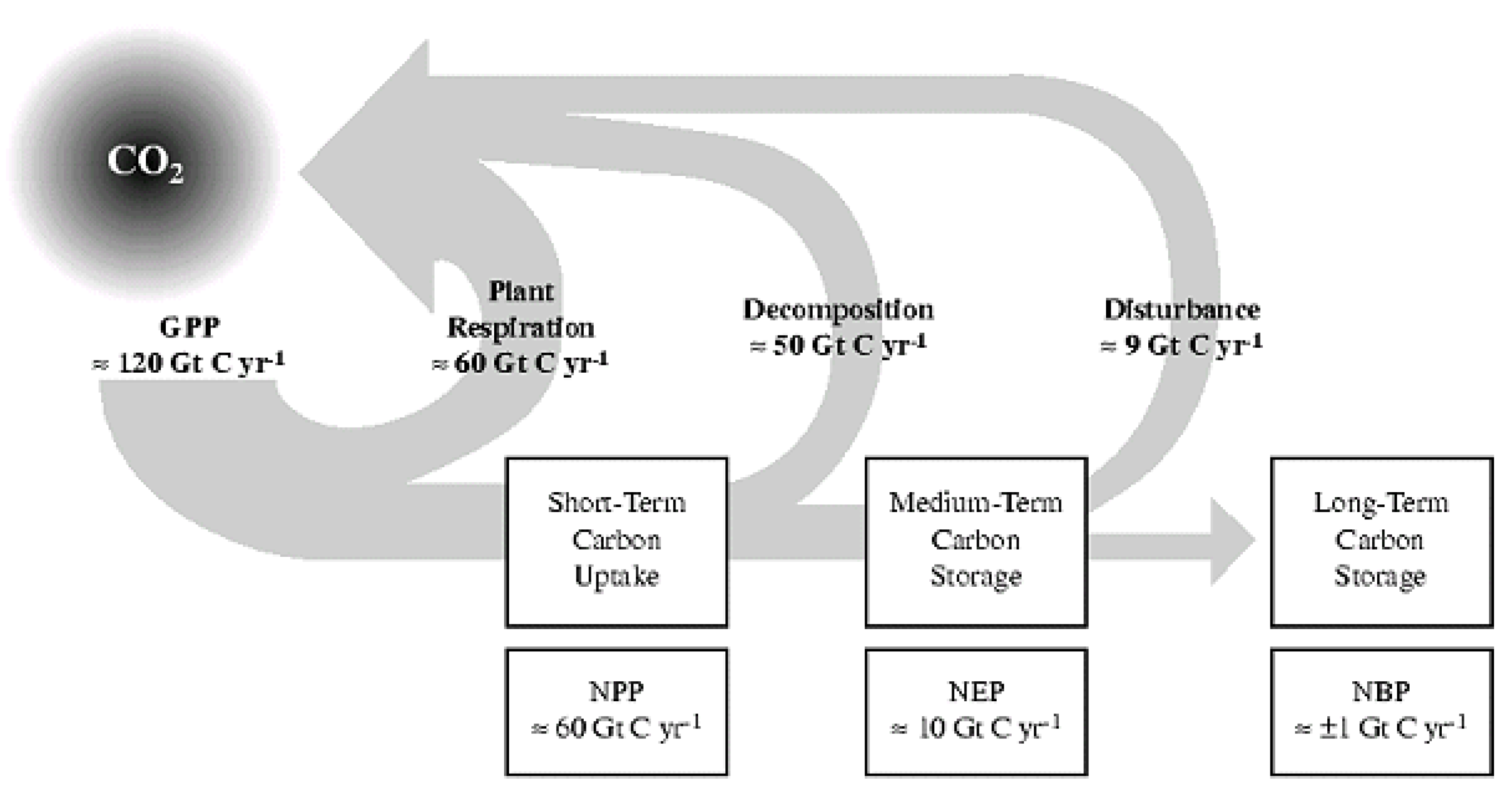 Preprints 70782 g003