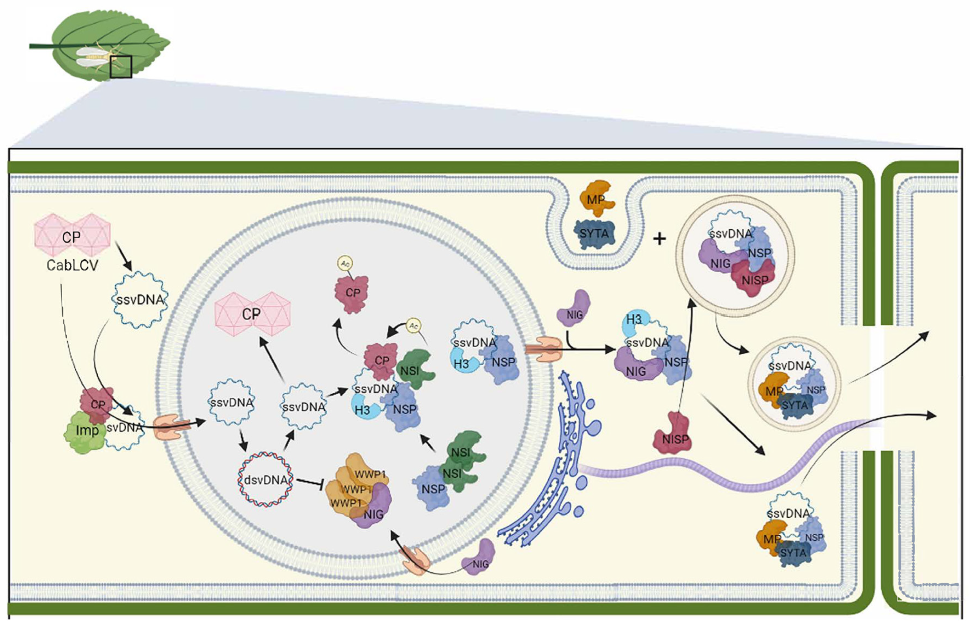 Preprints 78451 g001