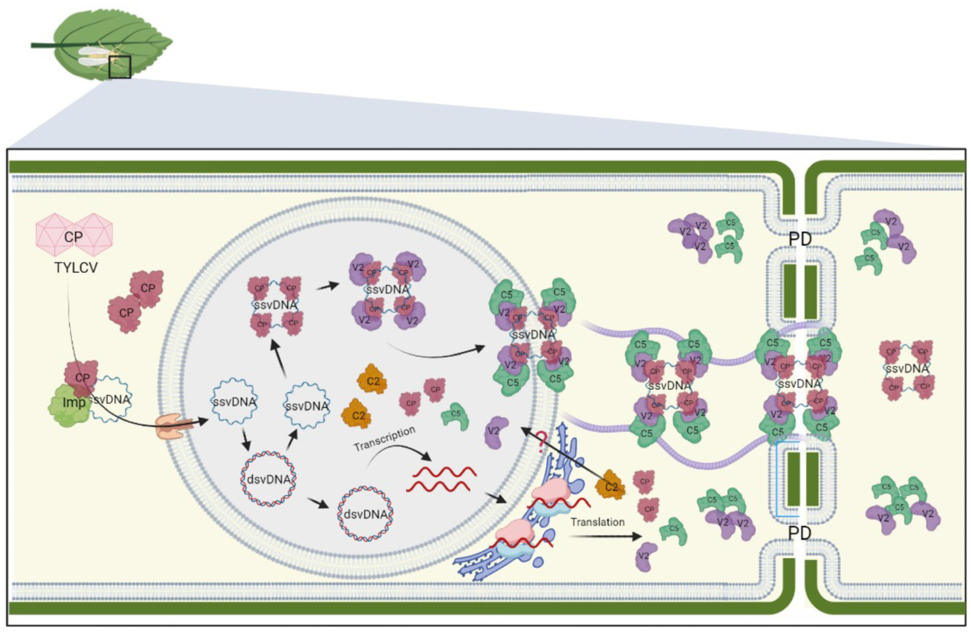 Preprints 78451 g002