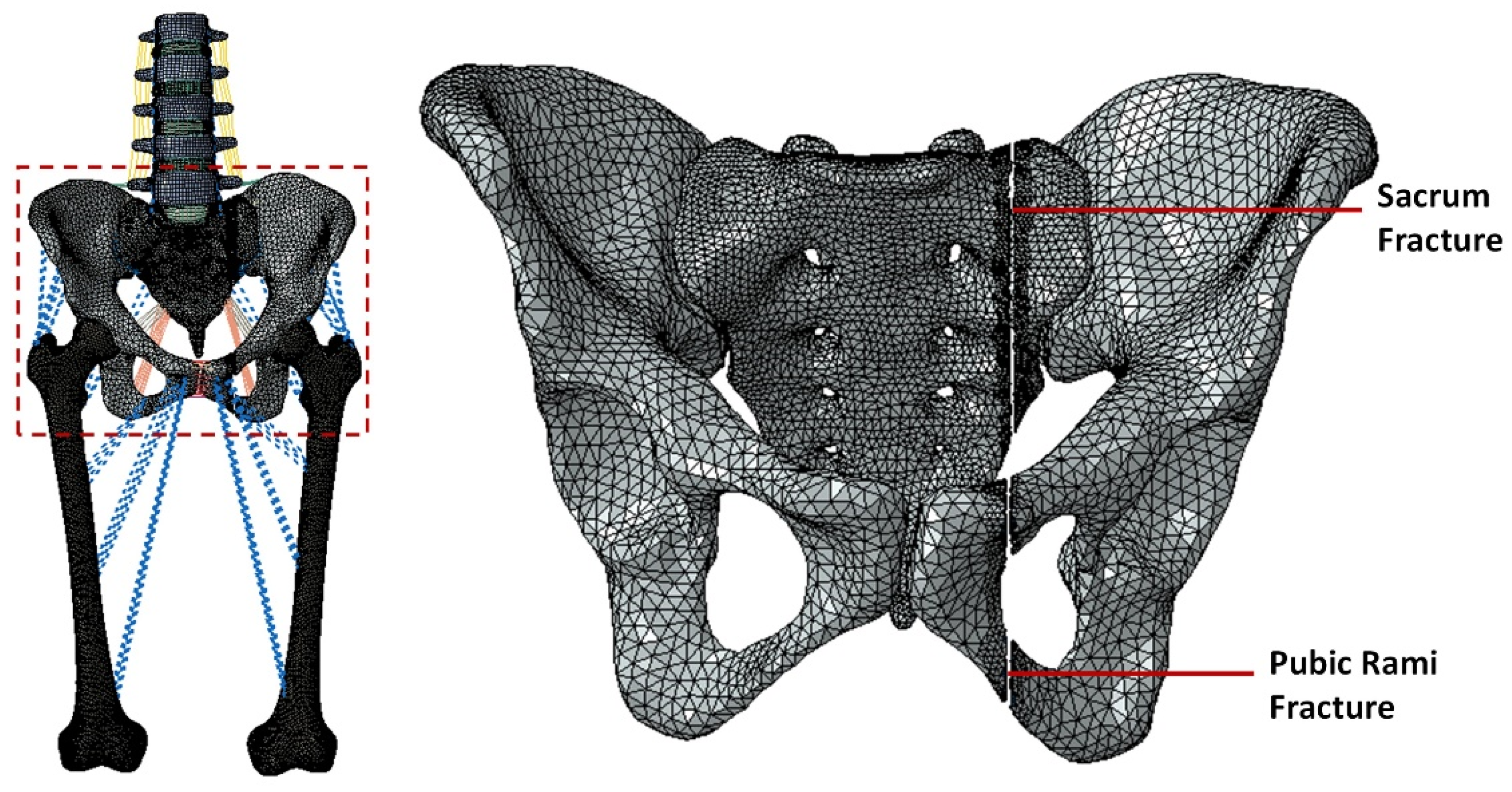 Preprints 97974 g002