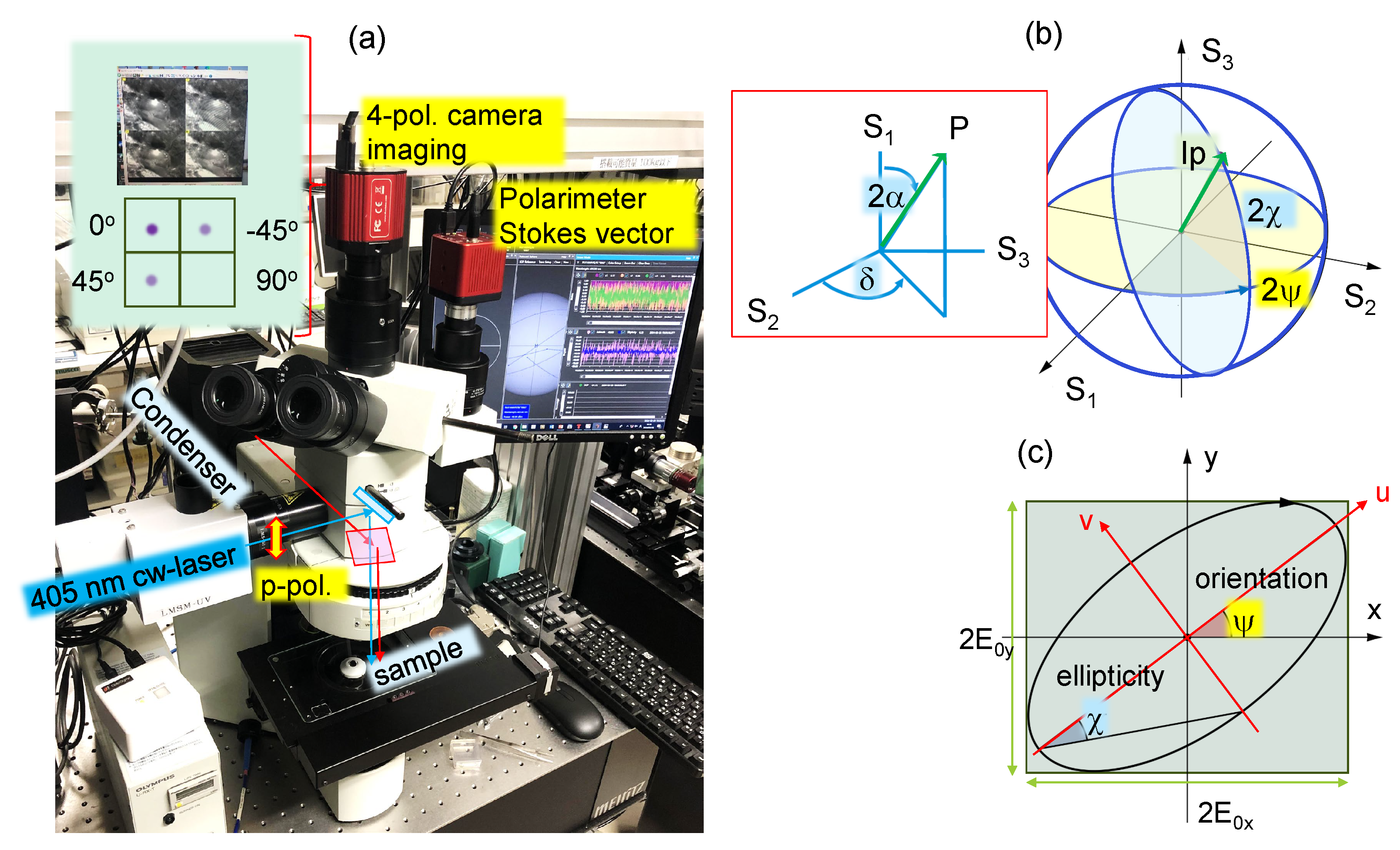 Preprints 105020 g001