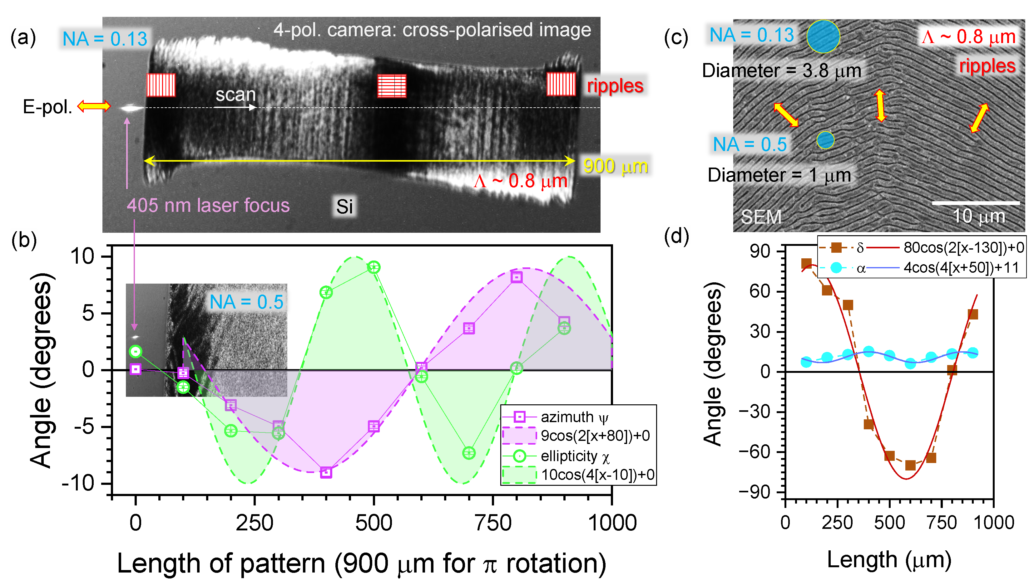 Preprints 105020 g007