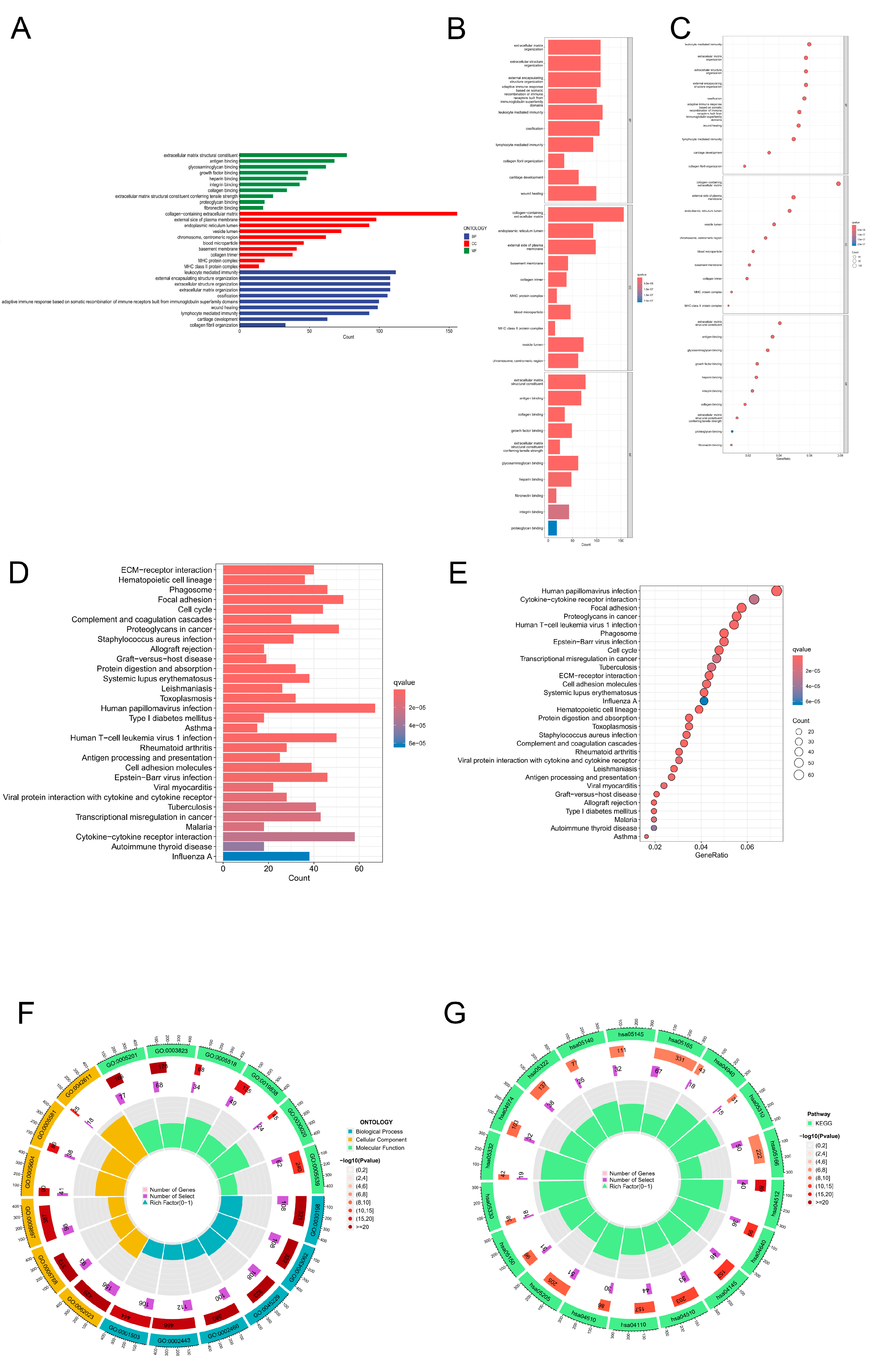 Preprints 105684 g006