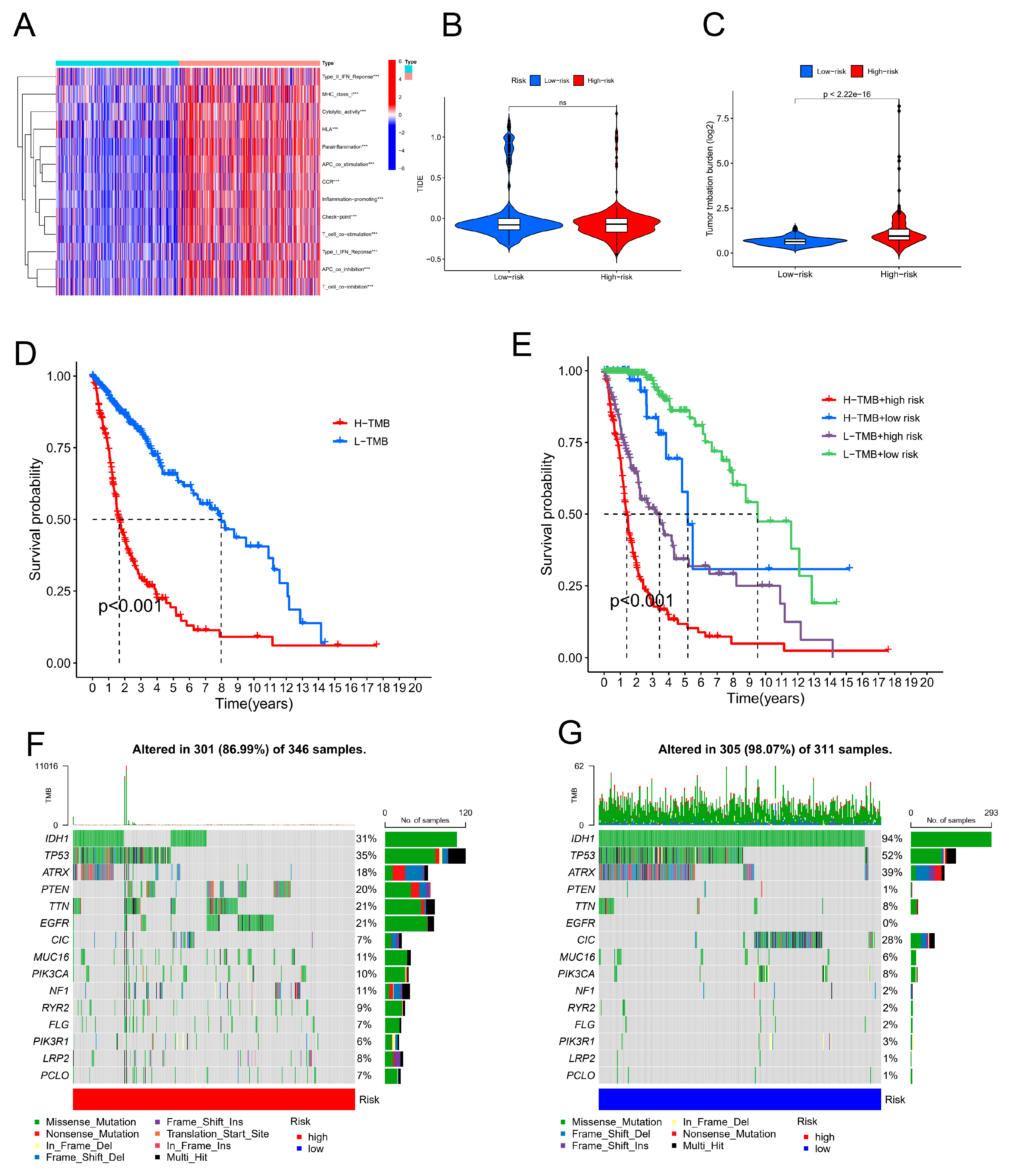 Preprints 105684 g007