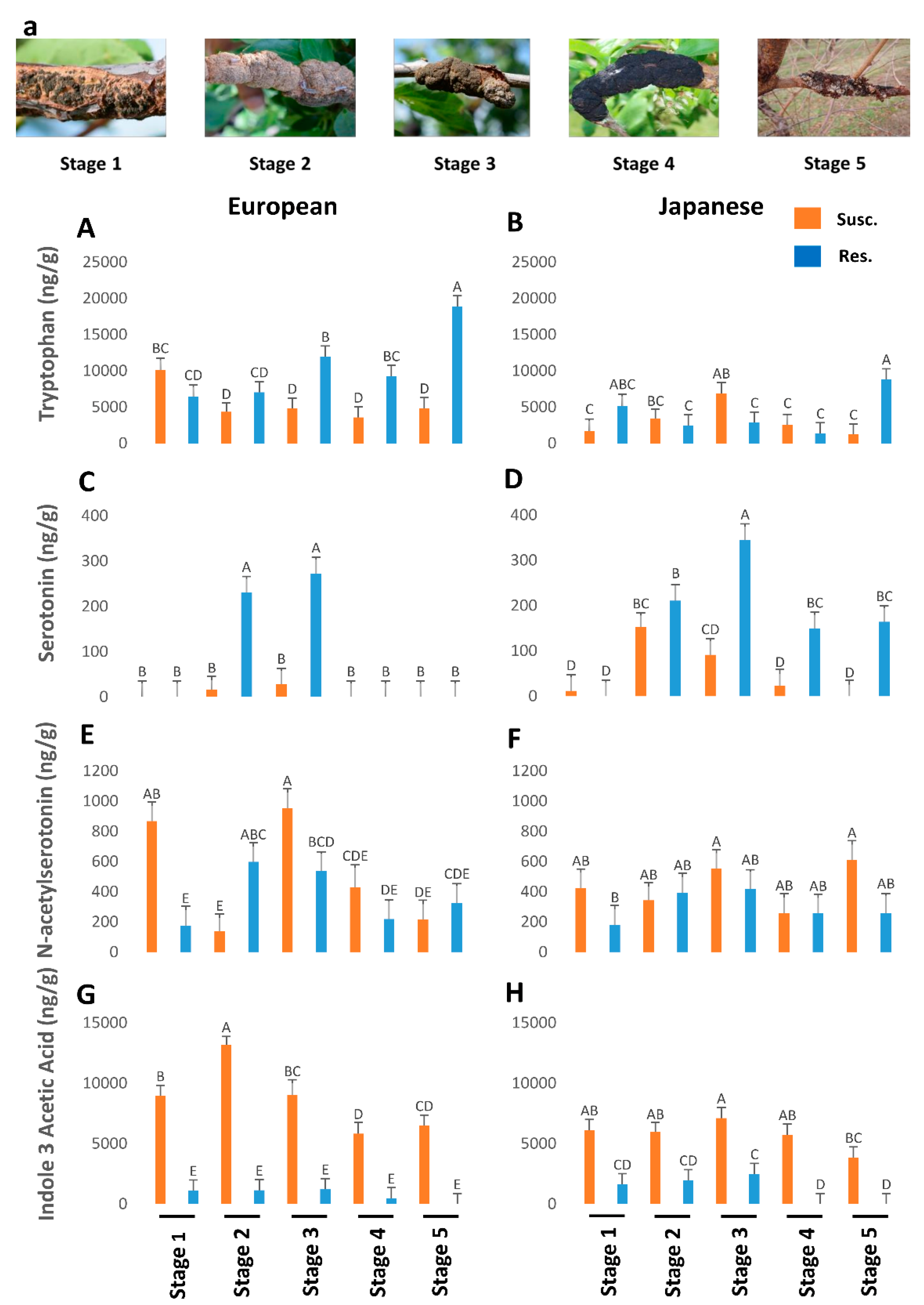 Preprints 85092 g001