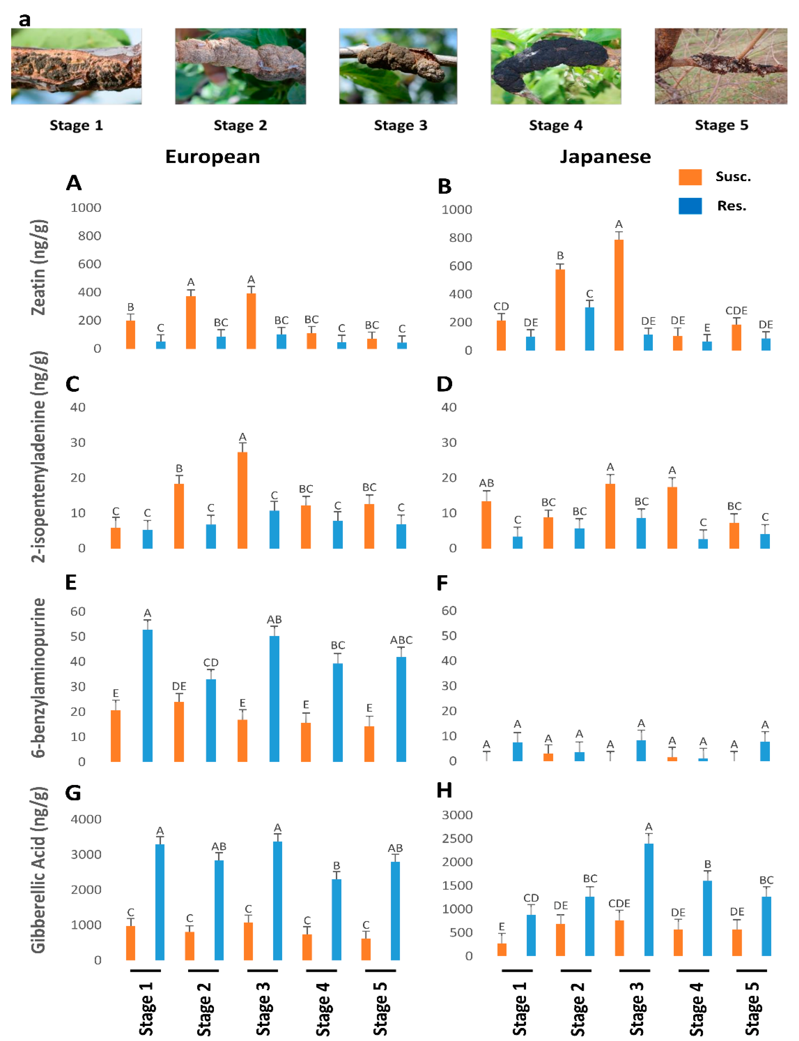 Preprints 85092 g002