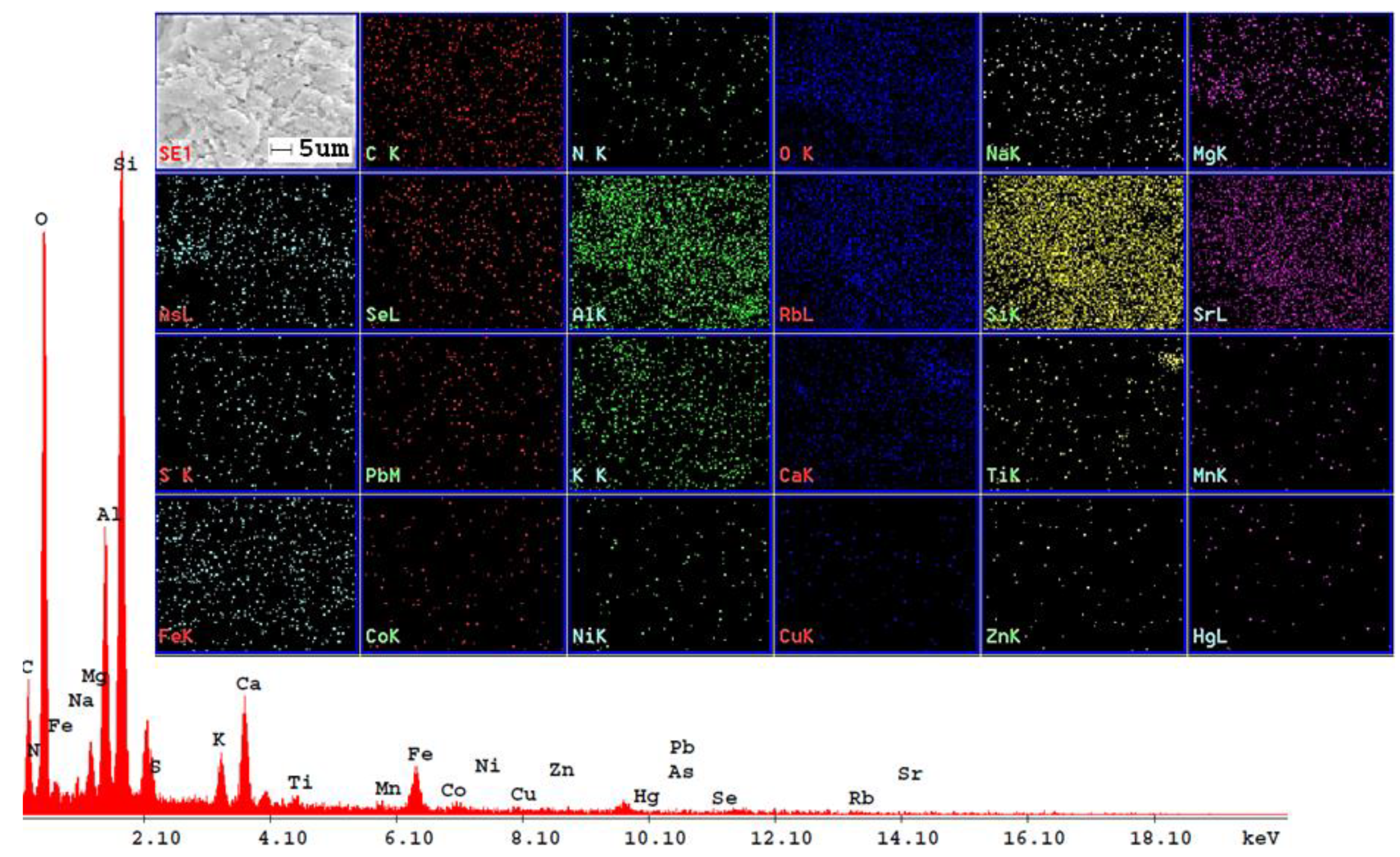 Preprints 120743 g010