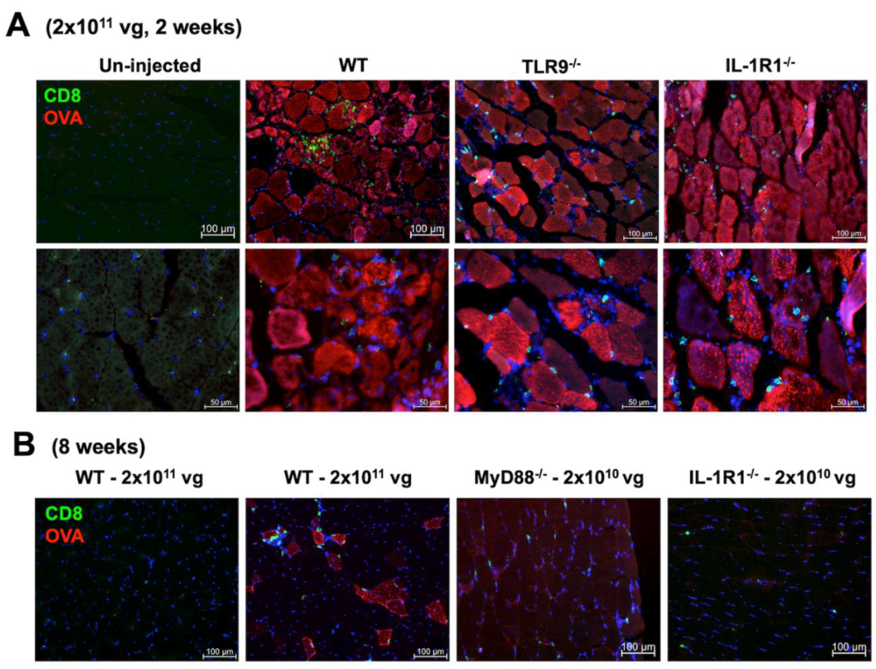 Preprints 114092 g002