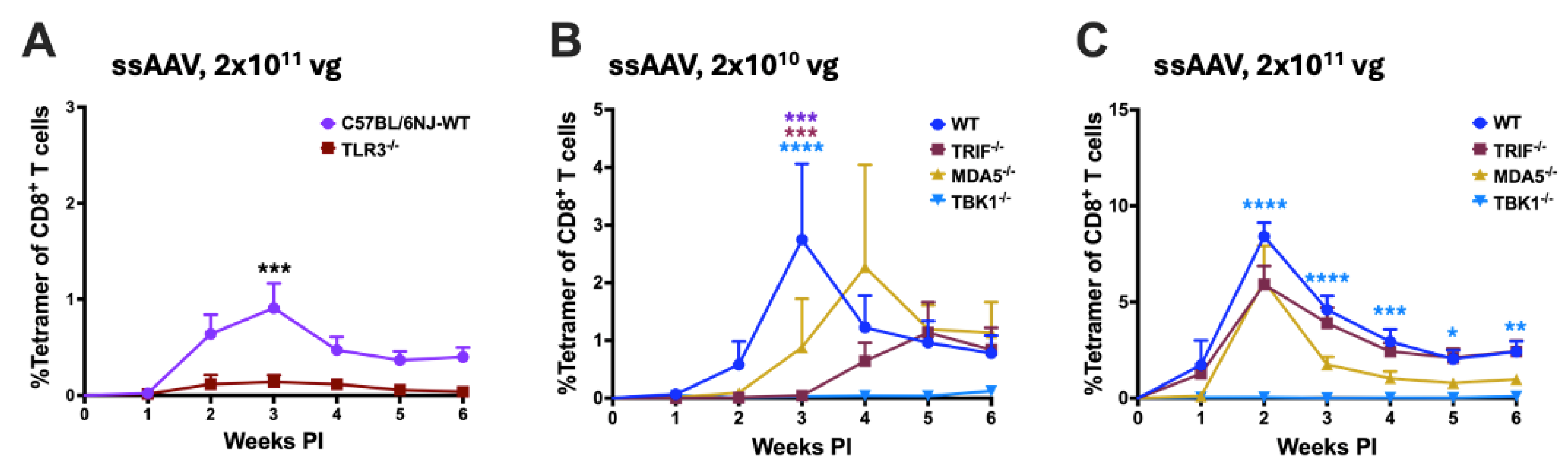 Preprints 114092 g003