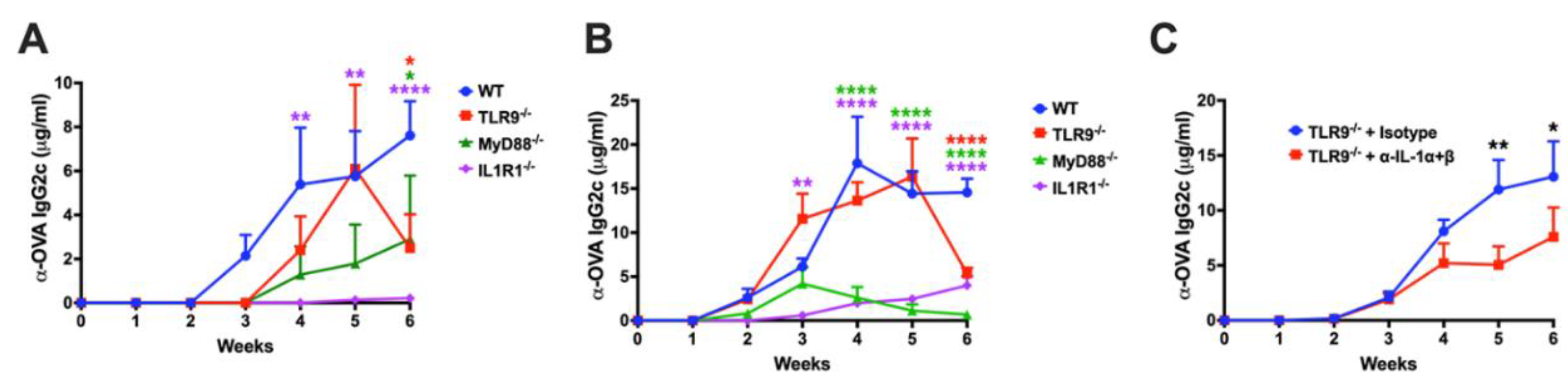 Preprints 114092 g006