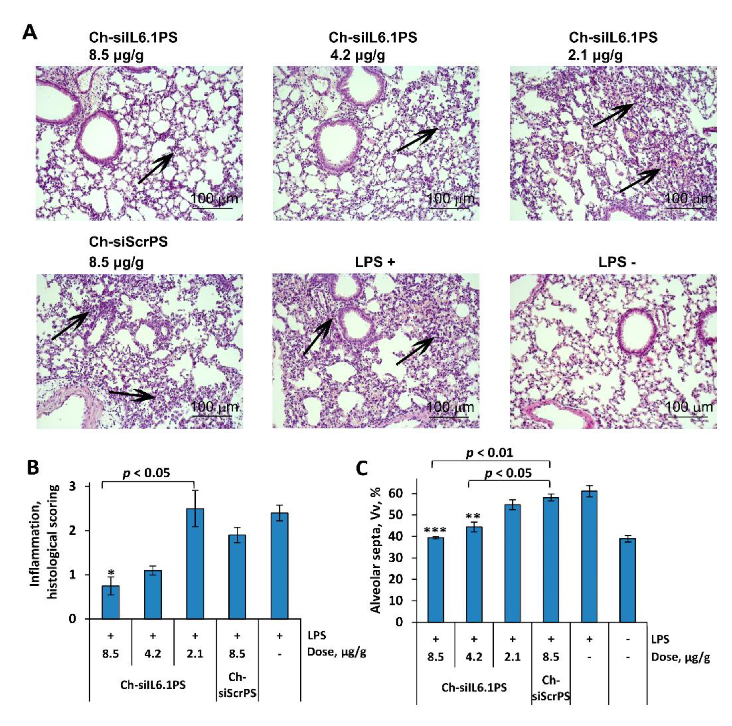 Preprints 104165 g003