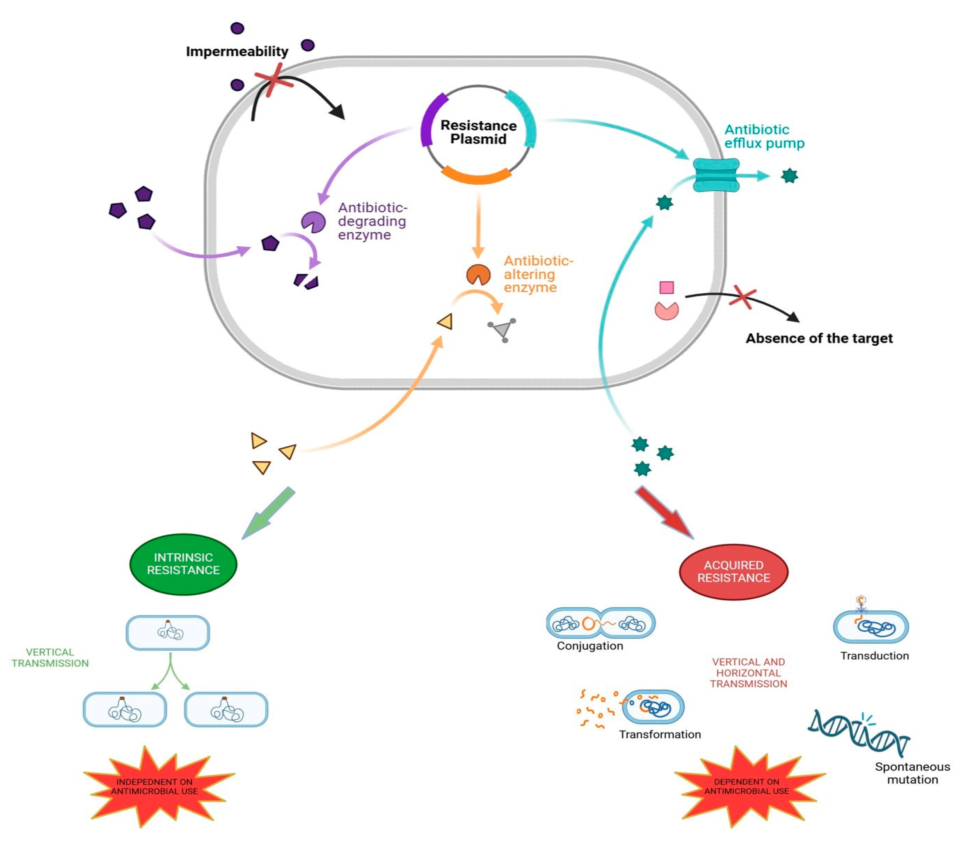 Preprints 112388 g001