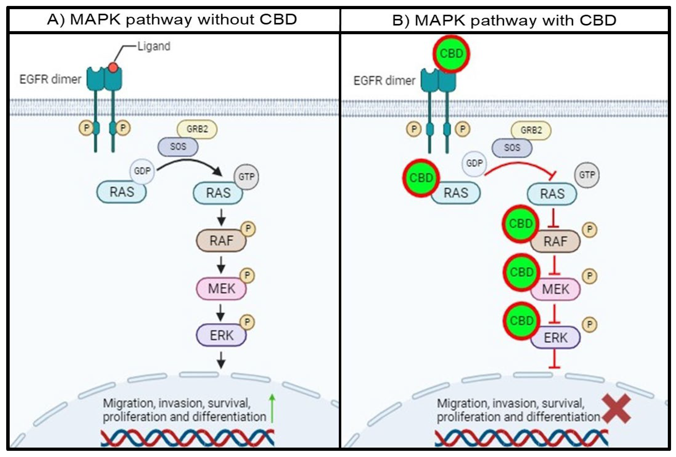 Preprints 110549 g003