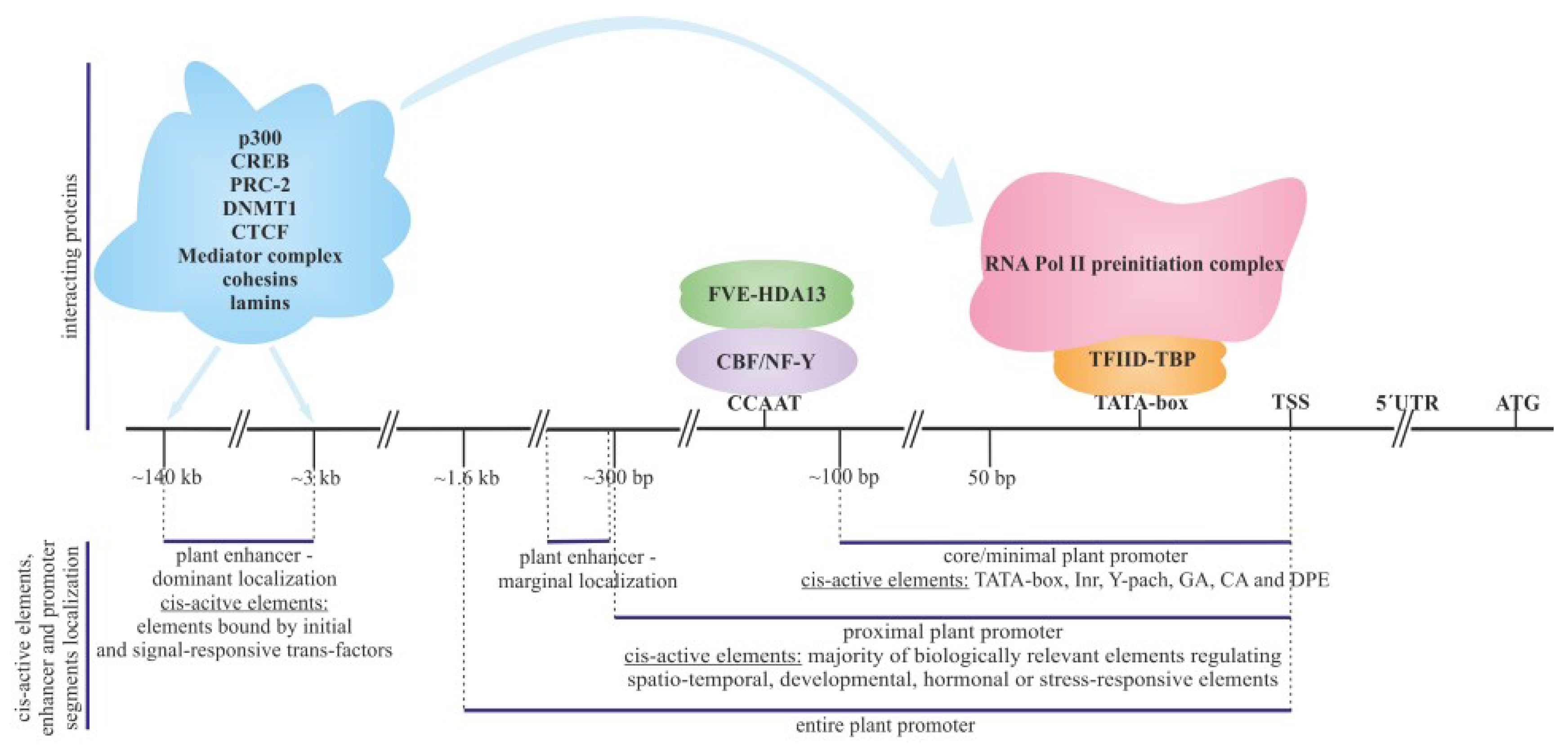 Preprints 104041 g001