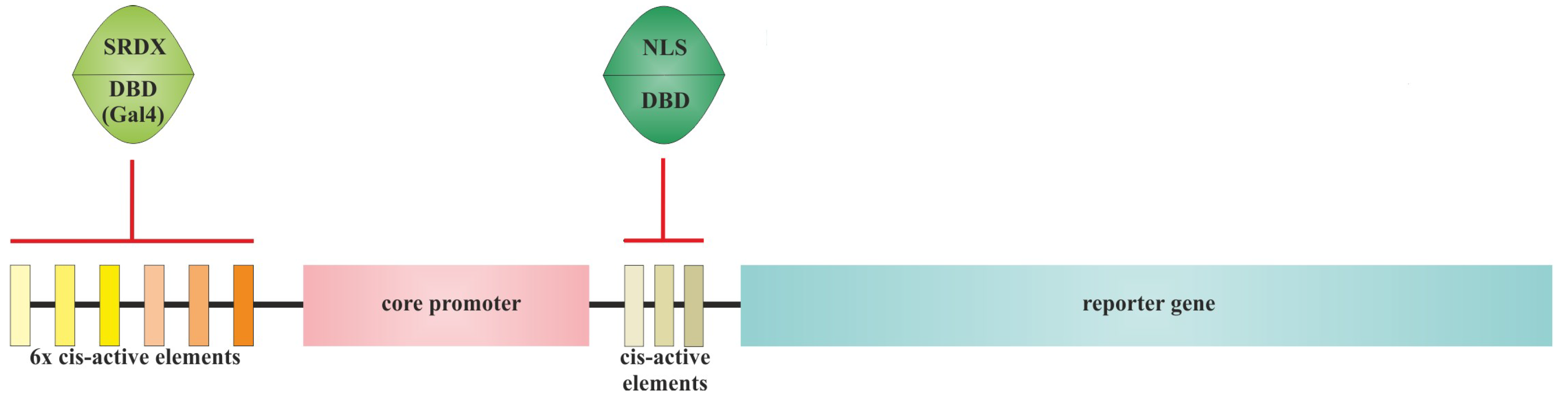 Preprints 104041 g005