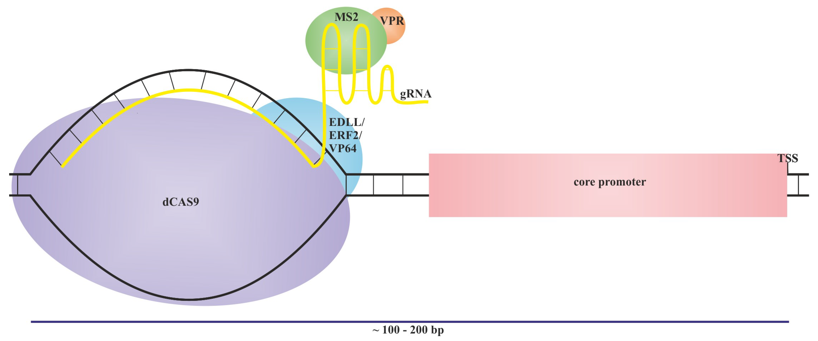 Preprints 104041 g007