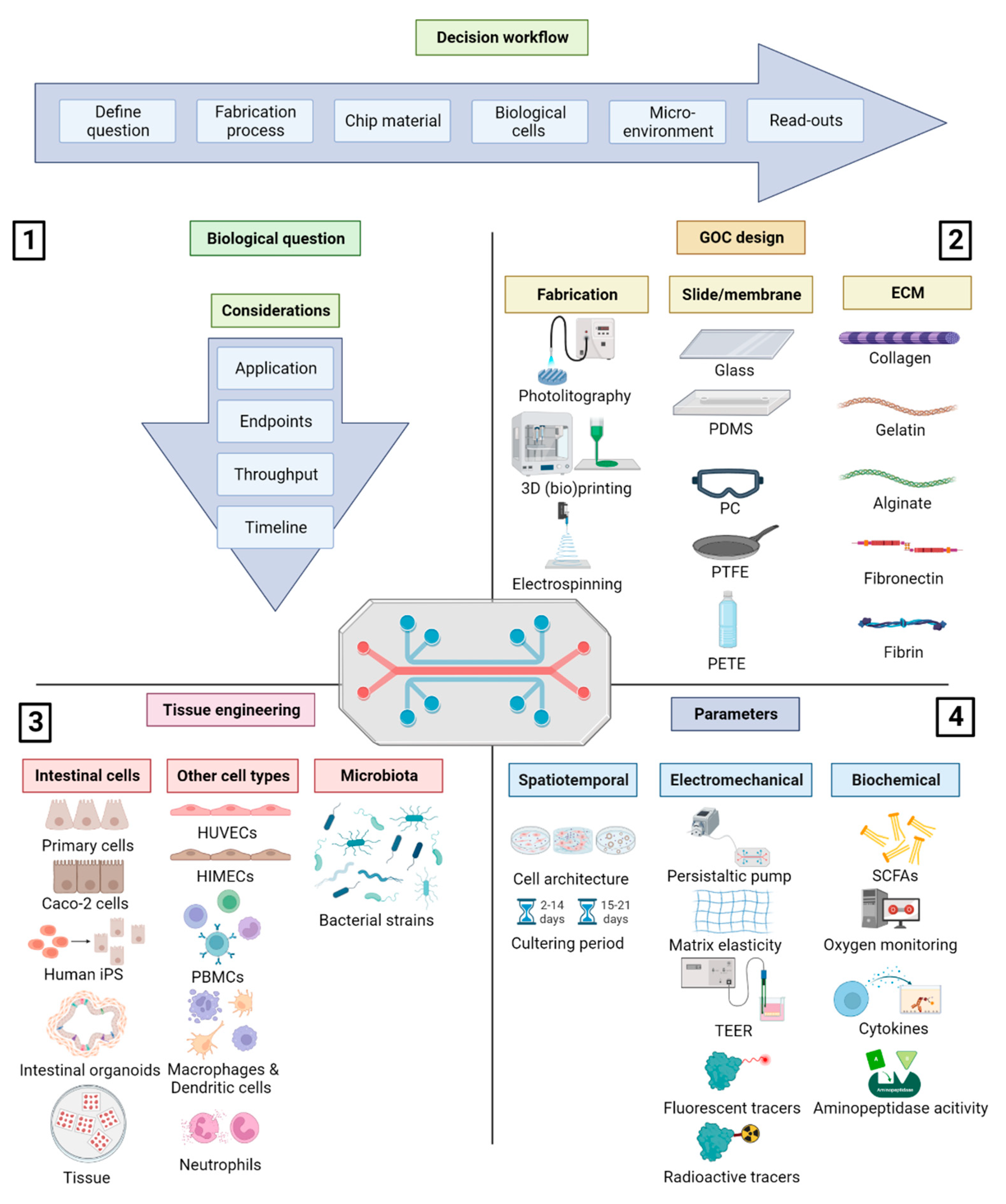 Preprints 72386 g001