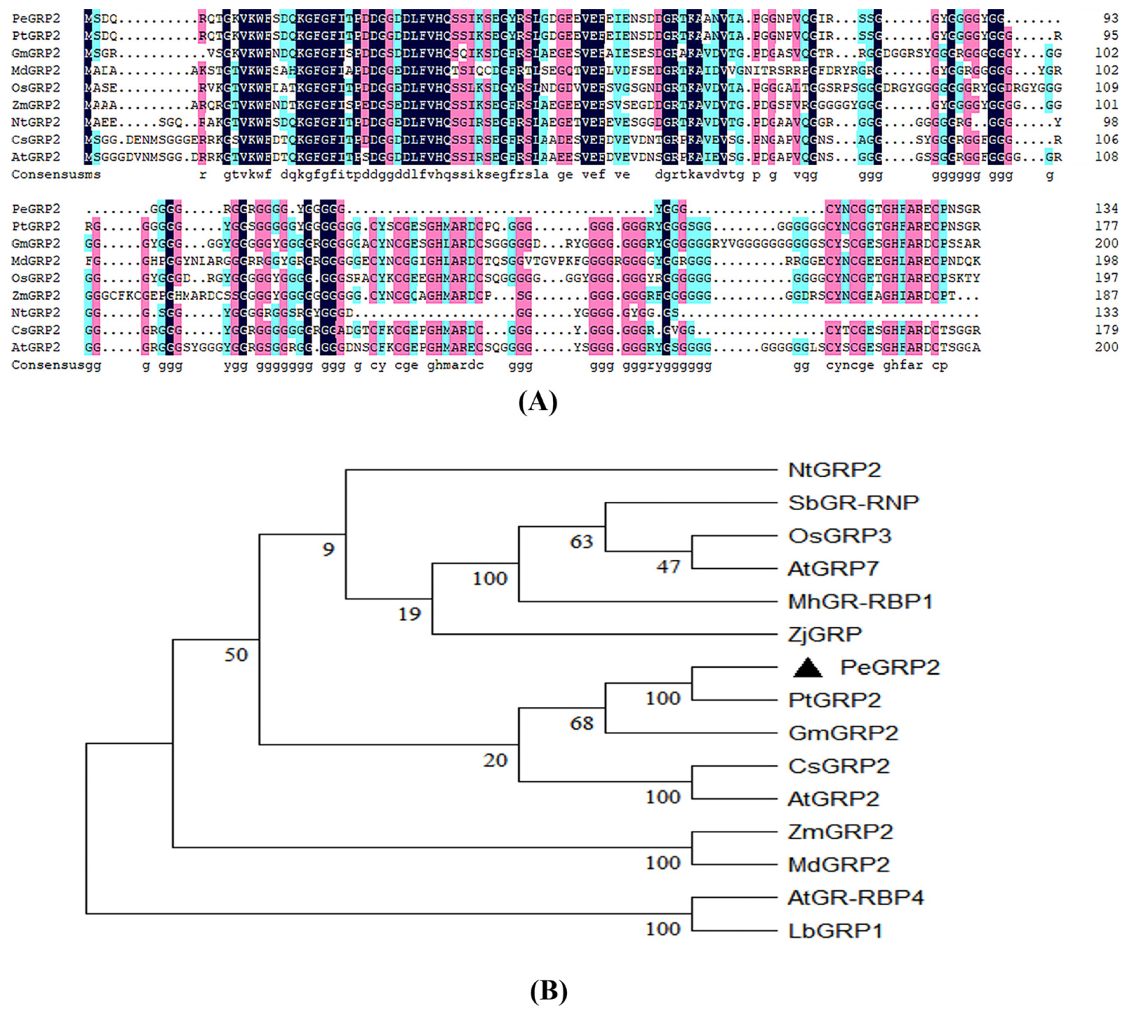 Preprints 94268 g002