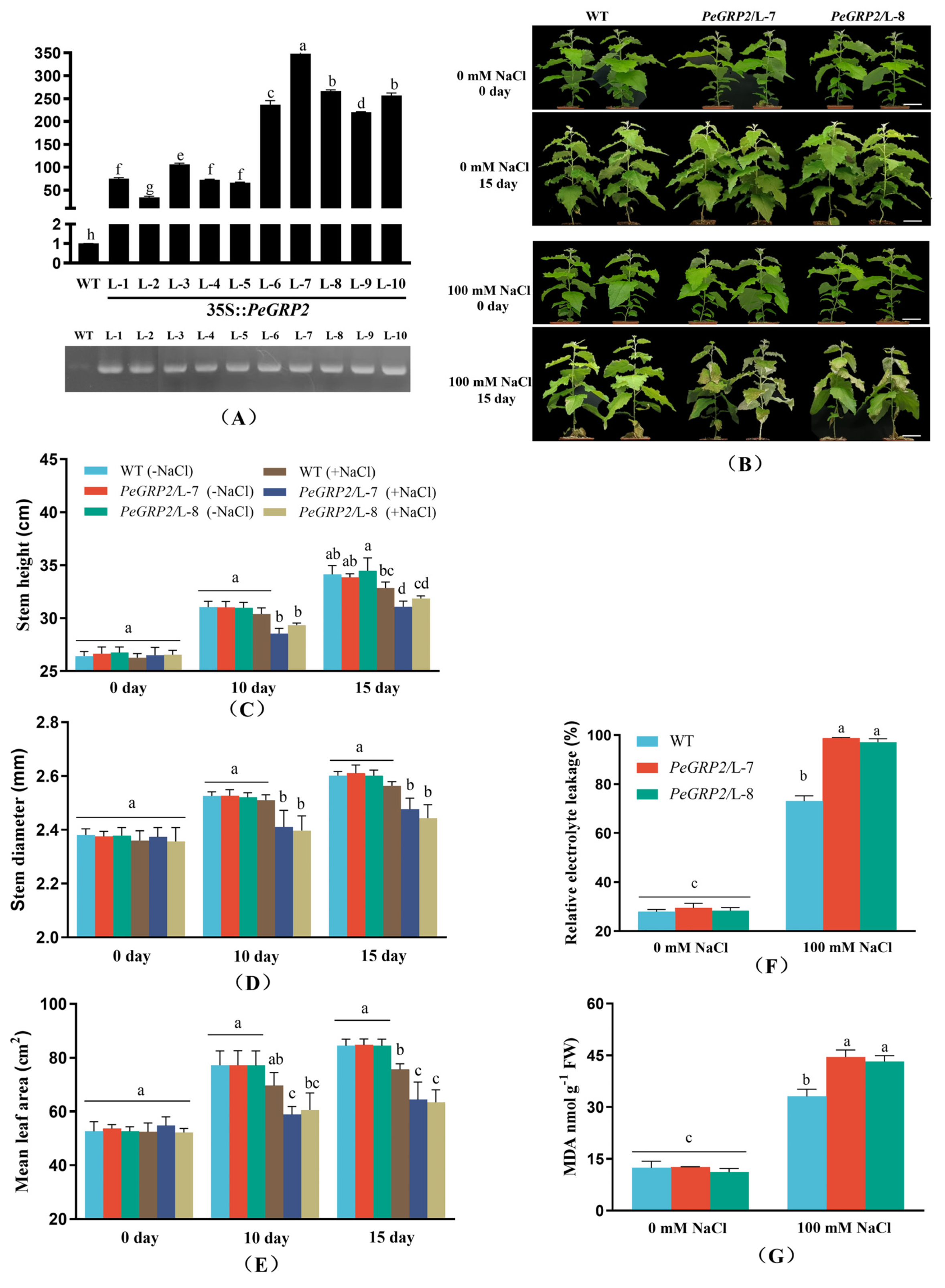 Preprints 94268 g003